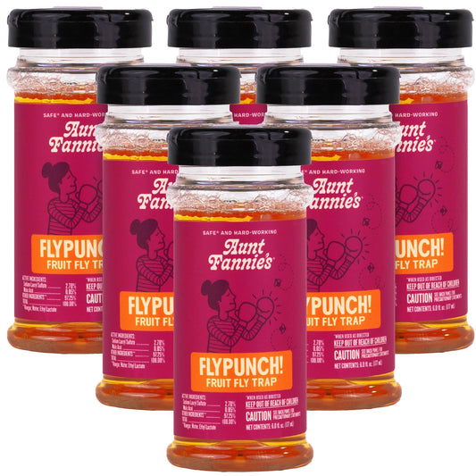 Aunt Fannie's FlyPunch Fruit Fly Trap (6 Pack): for Indoor and Kitchen Use, Made with Plant Based Ingredients, Packaging May Vary