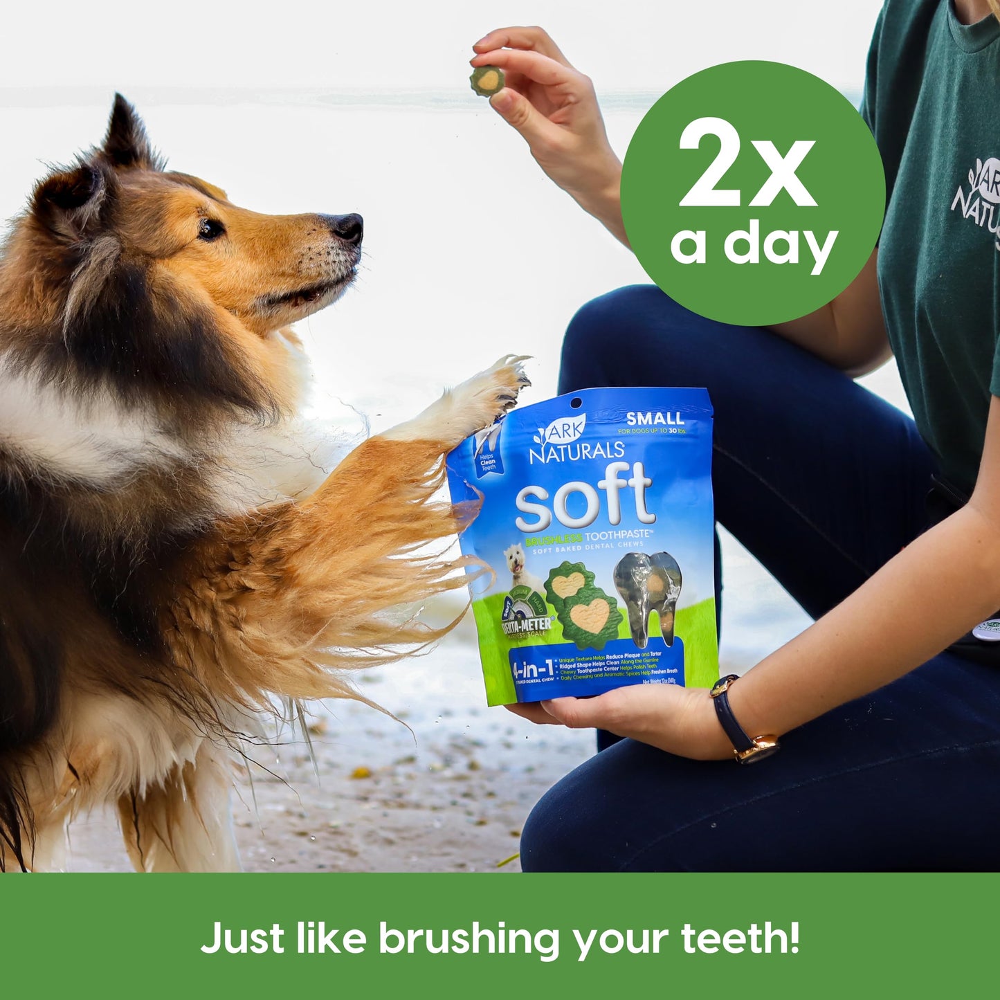 Ark Naturals Soft Brushless Toothpaste, Dog Dental Chews for Small Breeds, Freshens Breath, Unique Texture Helps Reduce Plaque & Tartar, 12oz, 1 Pack