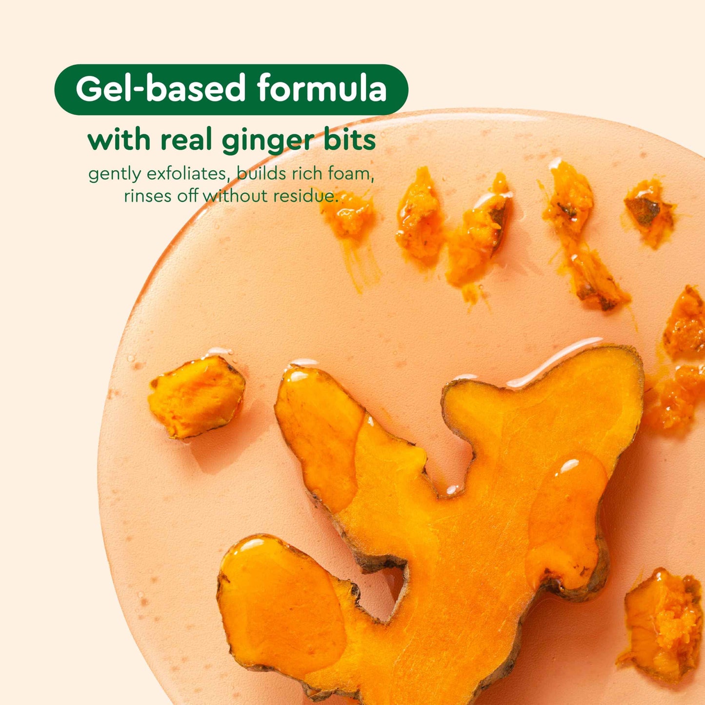 Vietnam's Touch | COCAY HOALA Ginger Turmeric Exfoliating Body Wash – Gentle Body Wash Sensitive Skin – Moisturizing & Nourishing Daily Shower Gel – Paraben & Silicone Free (17.64 oz)