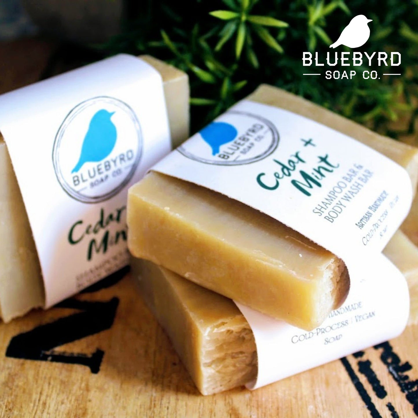 Bluebyrd Soap Co. Cedar Balsam + Mint Solid Shampoo & Body Wash Soap Bar | 100% All Natural Multi-Purpose Bars -Refreshing Menthol Scent | Pure Essential Oil, Vegan, Organic (Cedar Mint)