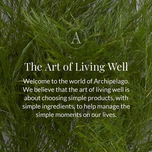 Archipelago Botanicals Pomegranate Citrus Reed Diffuser Oil Refill, Home Fragrance Oil for Diffuser, Long-Lasting Natural Home Fragrance, Diffuser Oil Scents, 7.85 Fl Oz