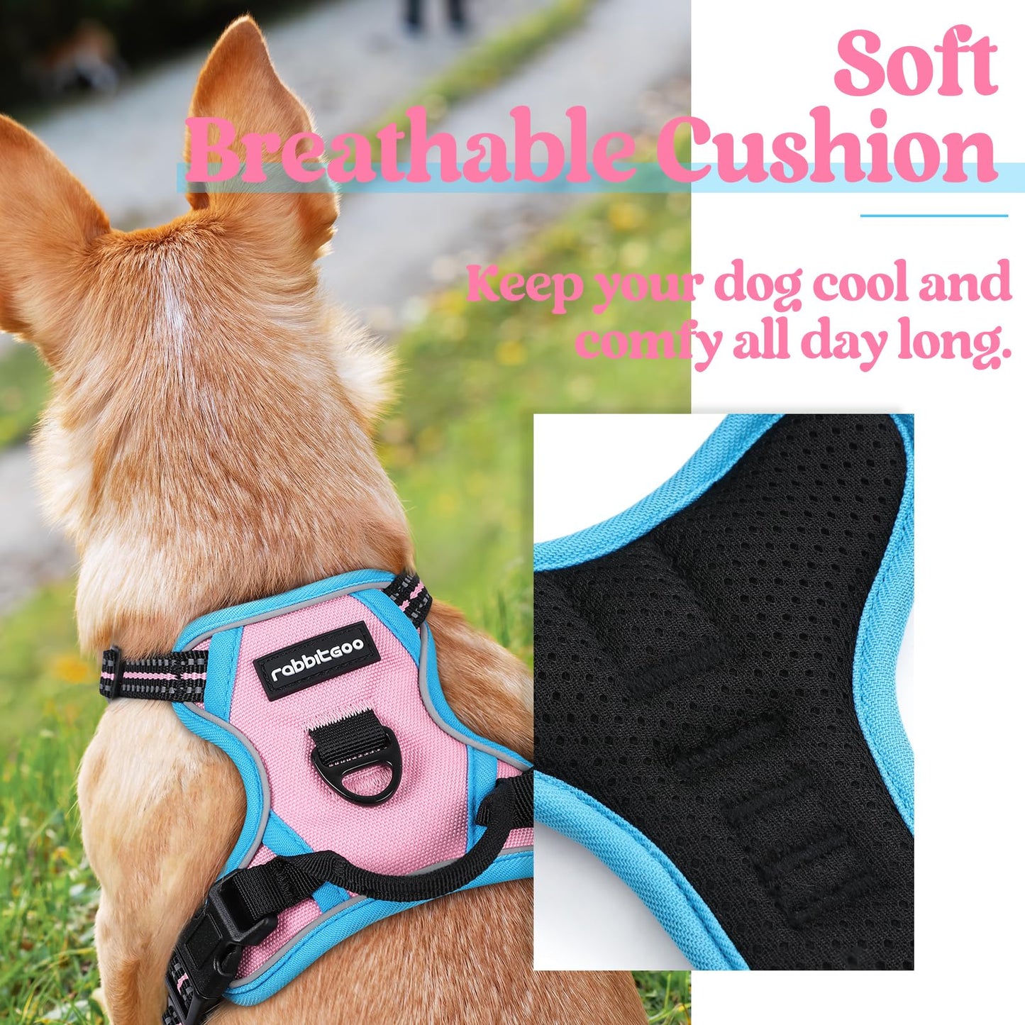 rabbitgoo Dog Harness, No-Pull Pet Harness with 2 Leash Clips, Adjustable Soft Padded Dog Vest, Reflective No-Choke Pet Oxford Vest with Easy Control Handle for Large Dogs, Pink & Blue, X-Small