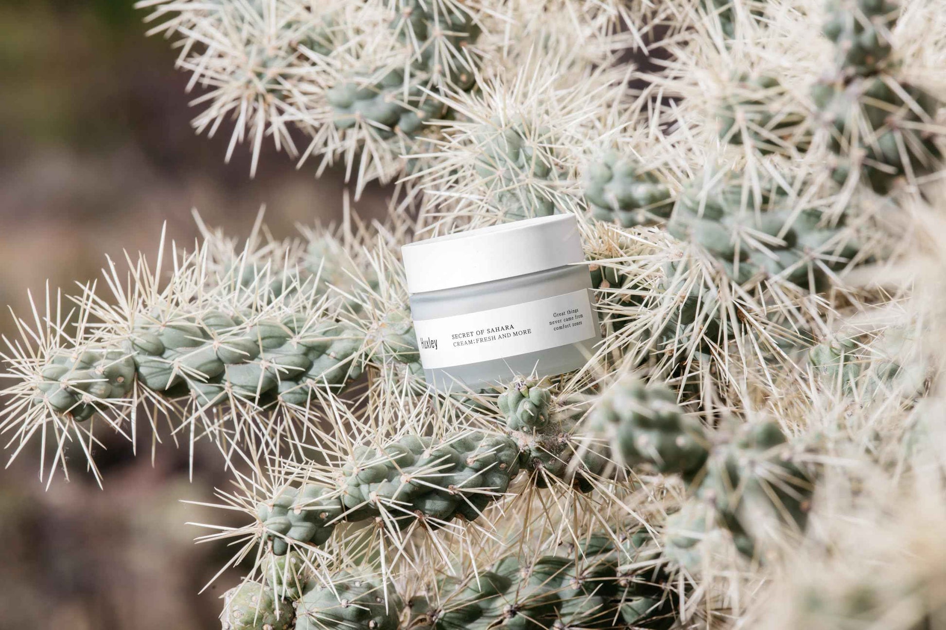 Huxley Secret of Sahara Cream Fresh and More 1.69 fl oz