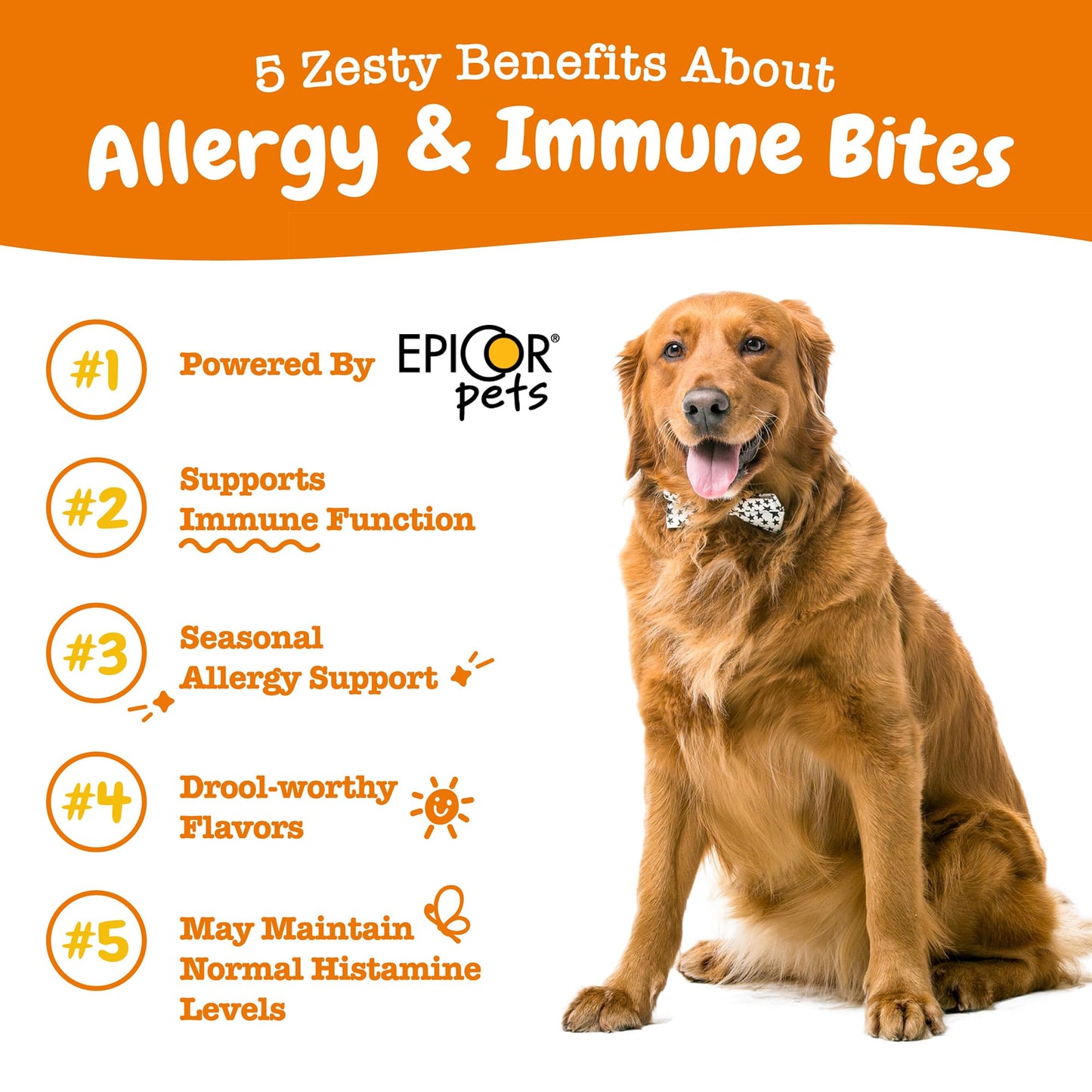 Zesty Paws Dog Allergy Relief - Anti Itch Supplement - Omega 3 Probiotics for Dogs - Digestive Health - Soft Chews for Skin & Seasonal Allergies - with Epicor Pets - Lamb - 250 Count