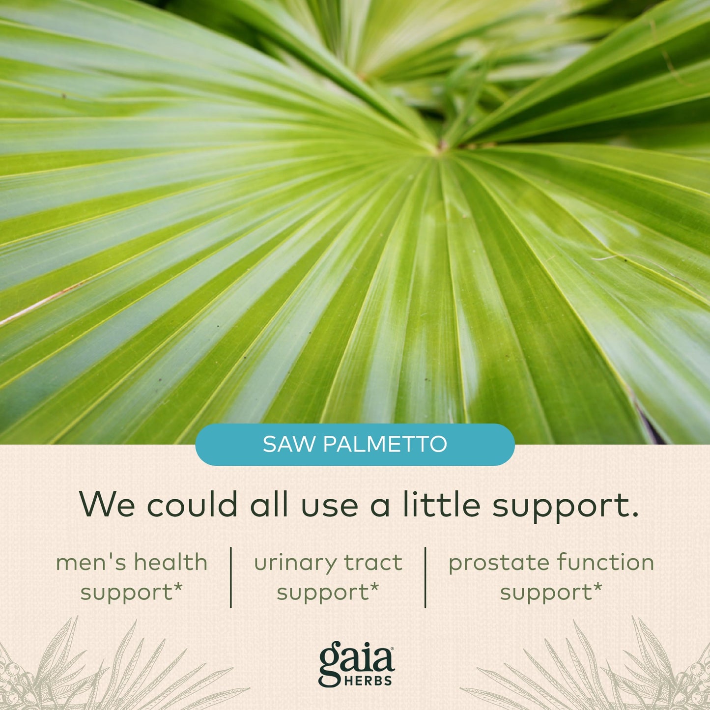 Gaia Herbs Prostate Health - Supports Prostate Health and Function for Men - with Saw Palmetto, Green Tea, Nettle Root, and White Sage - 60 Vegan Liquid Phyto-Capsules (20-Day Supply)