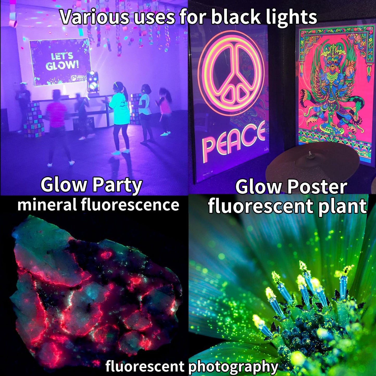 60W Black Lights Flood Light,Blacklight with Plug and Switch for Glow Party Large Space,IP66 Waterproof LED Black Lights for Fluorescent Poster,Halloween,Body Paint,Wedding.2 Pack