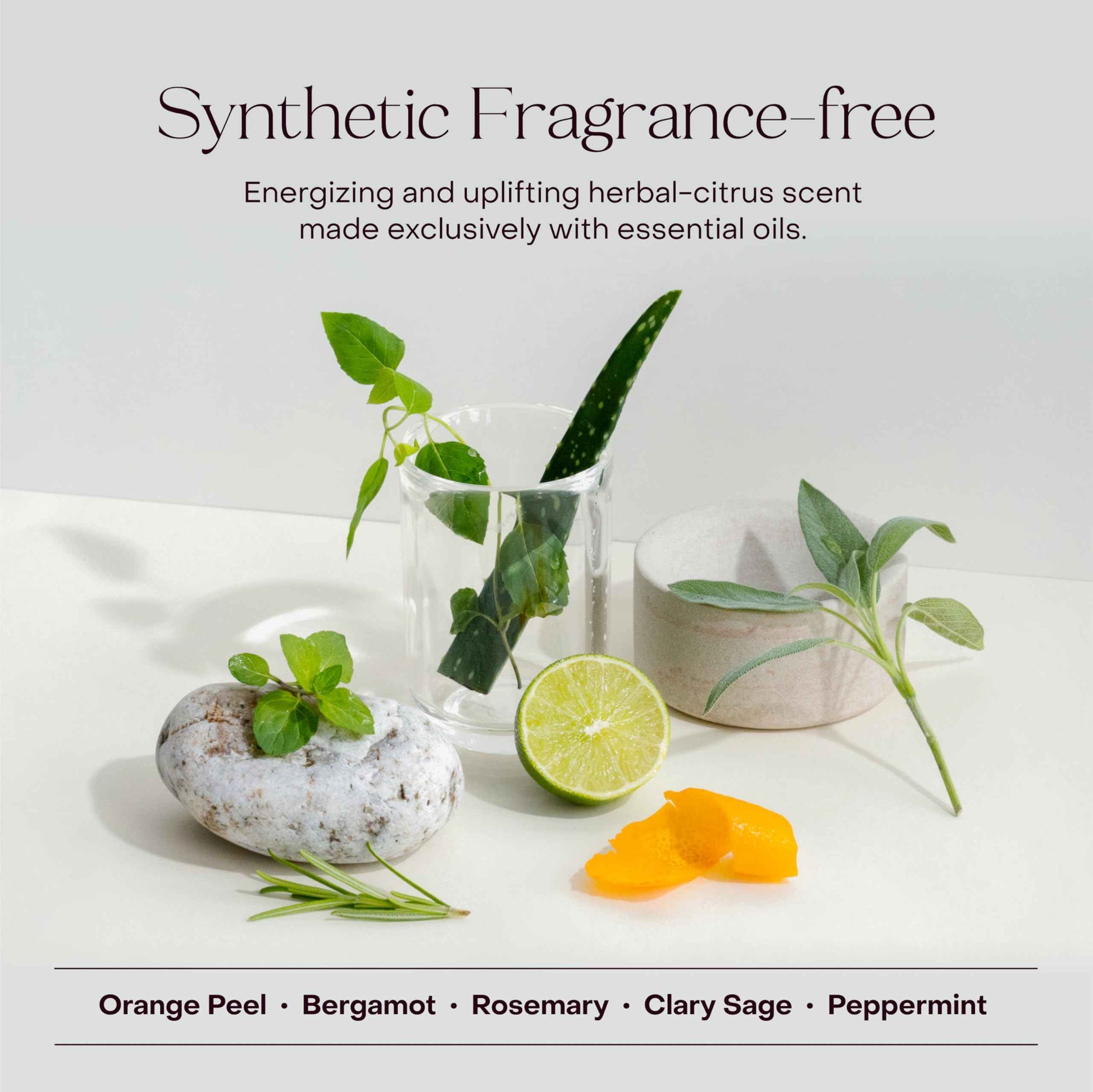 Everist Body Wash Concentrate – Waterless Hydrating Cream Cleanser with Aloe Vera & Glycerin – Skin-Soothing, Plant-Based, Vegan – 3.4 fl oz