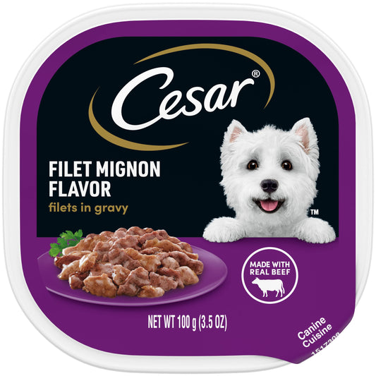 CESAR Filets in Gravy Adult Wet Dog Food, Filet Mignon Flavor, 3.5 oz., Pack of 24