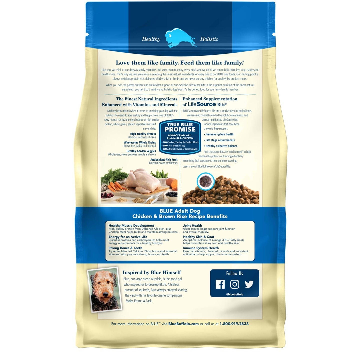 Blue Buffalo Life Protection Formula Natural Adult Dry Dog Food, Chicken and Brown Rice 6-lb