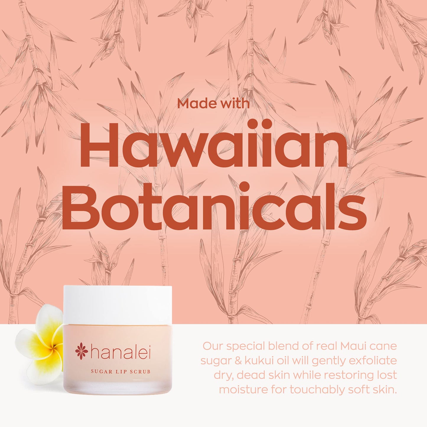 Hanalei Vegan and Cruelty-Free Sugar Lip Scrub Exfoliator | Hawaiian Cane Sugar, Kukui Oil, Shea Butter | Exfoliate, Smooth, Rejuvenate Lips | Made in USA | Lip Care (22 g)