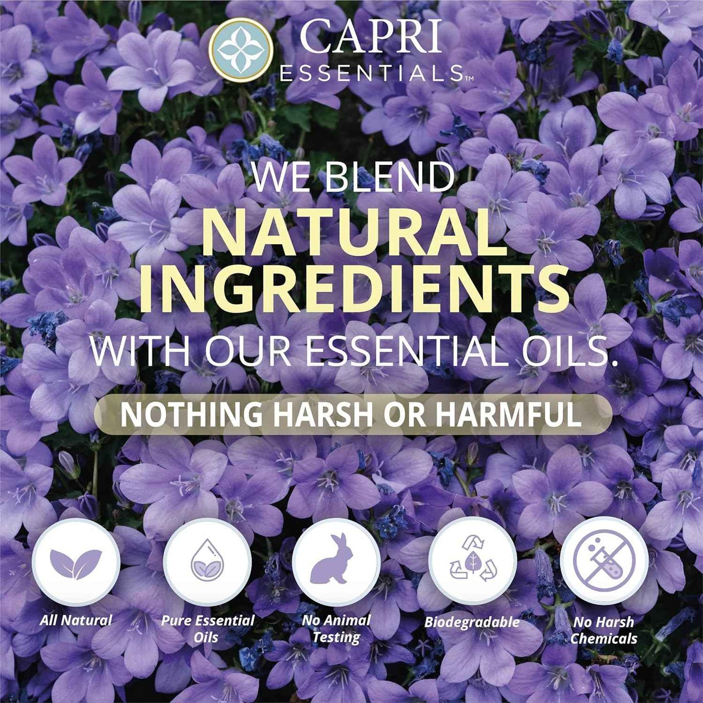 CAPRI ESSENTIALS Hand Soap Liquid, Natural Household Cleaning Supplies, Gentle Plant Based Aromatic Hand Wash, Blend of Essential Oils, Removes Dirt & Grime, White Lavender Scent, 16 FL Oz (6 Pack)