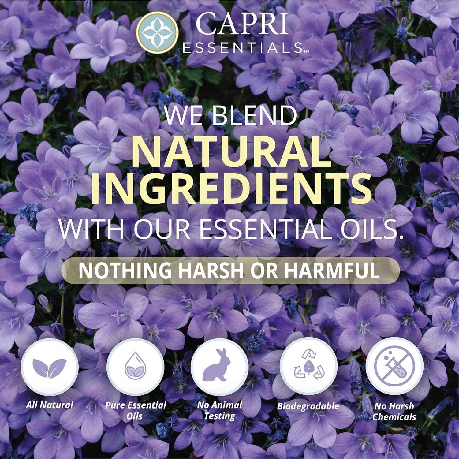 CAPRI ESSENTIALS Hand Soap Liquid, Natural Household Cleaning Supplies, Gentle Plant Based Aromatic Hand Wash, Blend of Essential Oils, Removes Dirt & Grime, White Lavender Scent, 16 FL Oz (6 Pack)