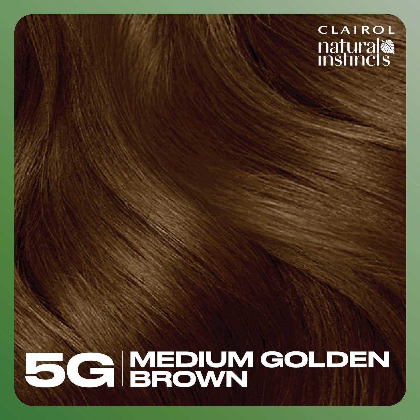 Clairol Natural Instincts Demi-Permanent Hair Dye, 5G Medium Golden Brown Hair Color, Pack of 1