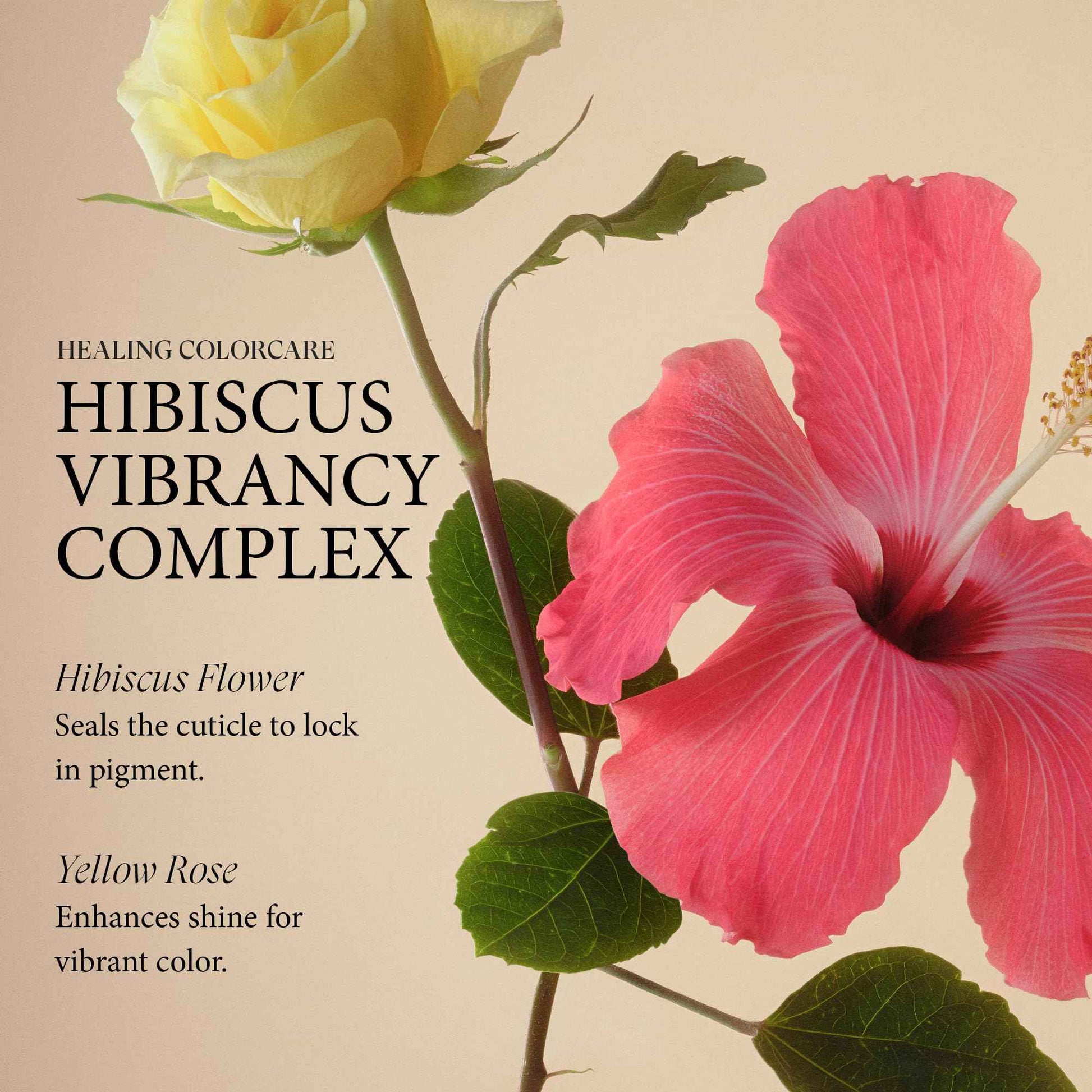 L'ANZA Healing ColorCare Silver Brightening Shampoo, for Silver, Gray, White, Blonde & Highlighted Hair, Boosts Shine and Brightness while Healing, Controls Unwanted Warm Tones (10.1 Fl Oz)