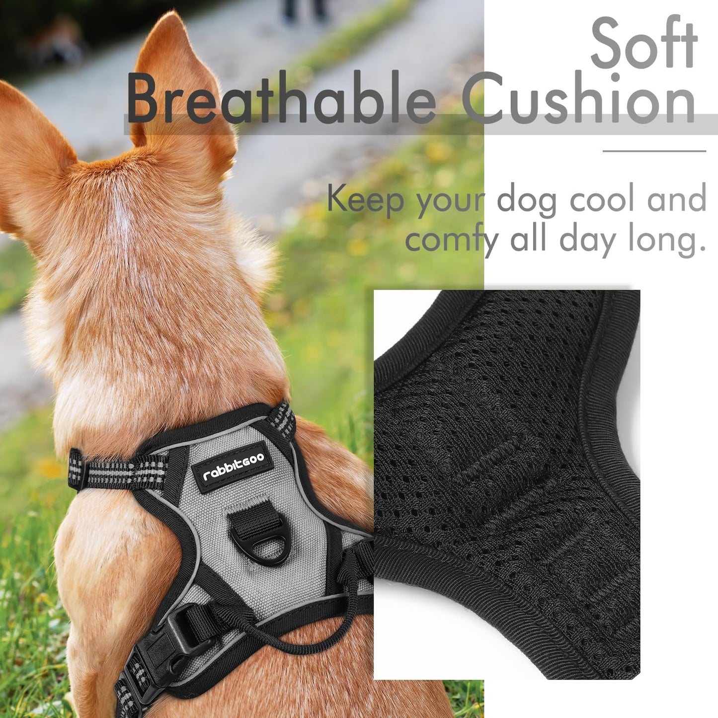 rabbitgoo Dog Harness, No-Pull Pet Harness with 2 Leash Clips, Adjustable Soft Padded Dog Vest, Reflective No-Choke Pet Oxford Vest with Easy Control Handle for Small Dogs, Grey, XS