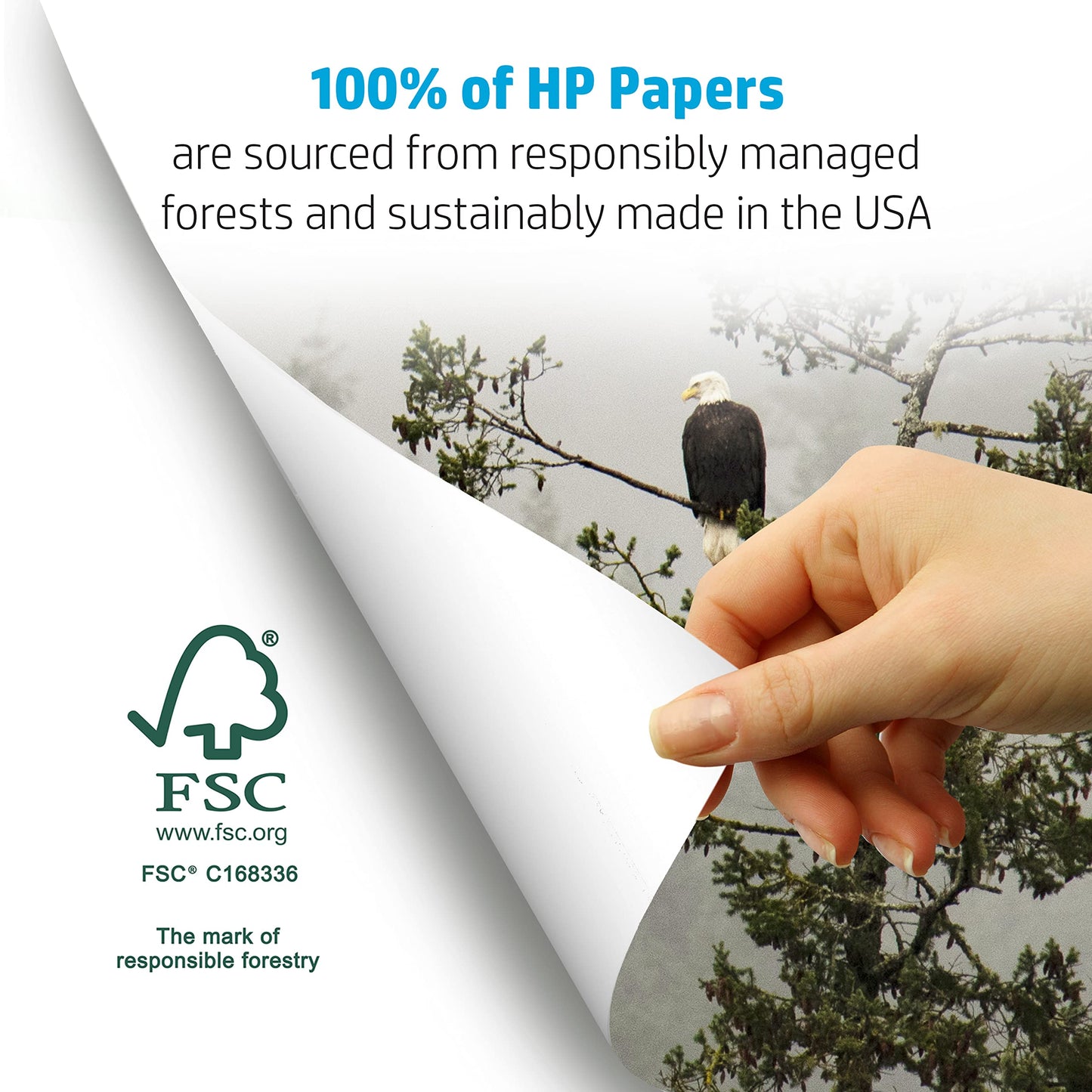 HP Printer Paper | 8.5 x 11 Paper | Copy &Print 20 Lb | 1 Bulk Pack - 750 Sheets | 92 Bright | Made in USA - FSC Certified | 200030R