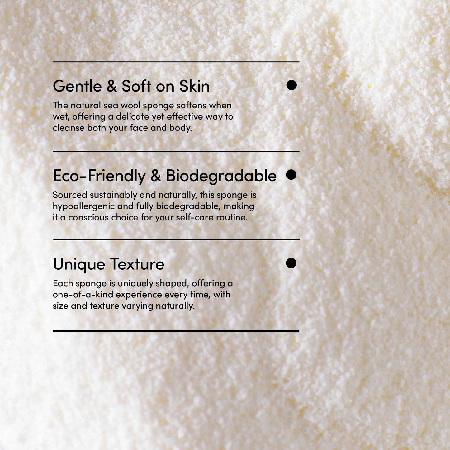 LATHER - Natural Sea Wool Sponge, 5-6" - Organic Exfoliating Body Scrubber - Soft, Gentle Cleansing - Hypoallergenic - All Skin Types - Florida Natural Loofah Sponge - Cruelty Free - Beauty & Skincare