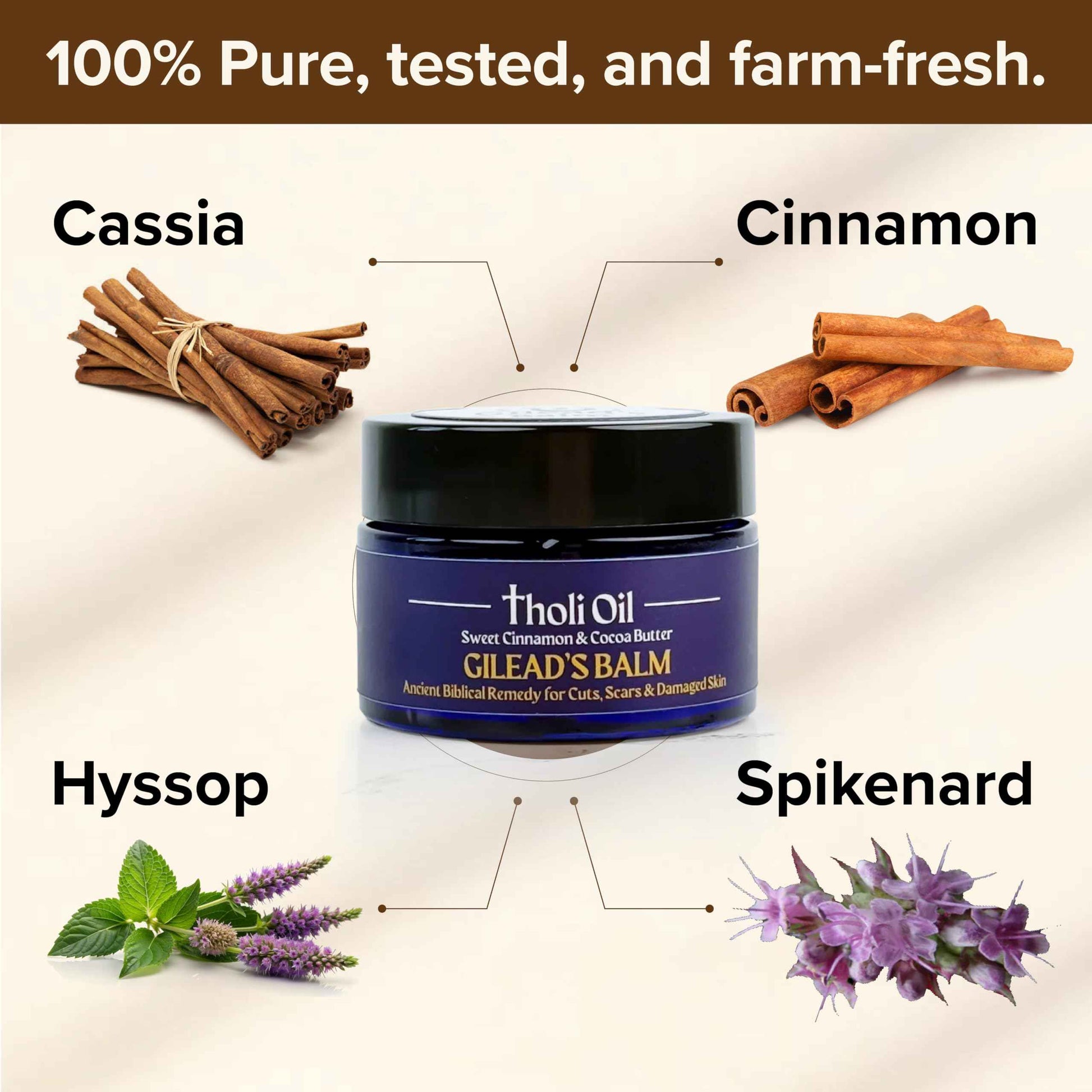 Tholi Oil Balm of Gilead Skin Repair Salve – Fast-Acting Natural Formula Soothes, Restores & Protects Dry, Damaged Skin – With Poplar Buds, Beeswax, Cocoa Butter