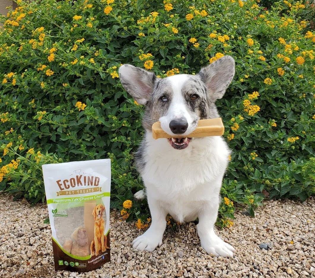 EcoKind Yak Cheese Dog Chews | 2 lb. Bag | Healthy Dog Treats, Odorless, Rawhide Free, Long Lasting Dog Bones for Aggressive Chewers, Indoors & Outdoor Use, Made in The Himalayans