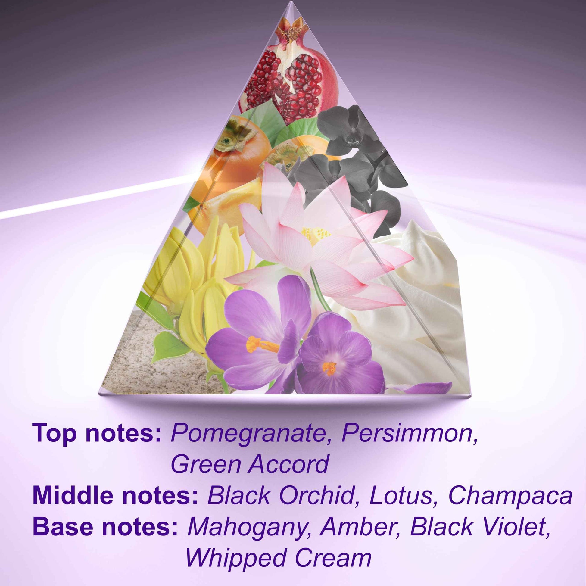 ALFAMARKER SOUL № 2601 Ephiria – Perfume for Women | Long Lasting Eau de Parfum Spray 4.0 Fl Oz / 120ml | Boutique-Inspired Oriental Floral Women’s Fragrance