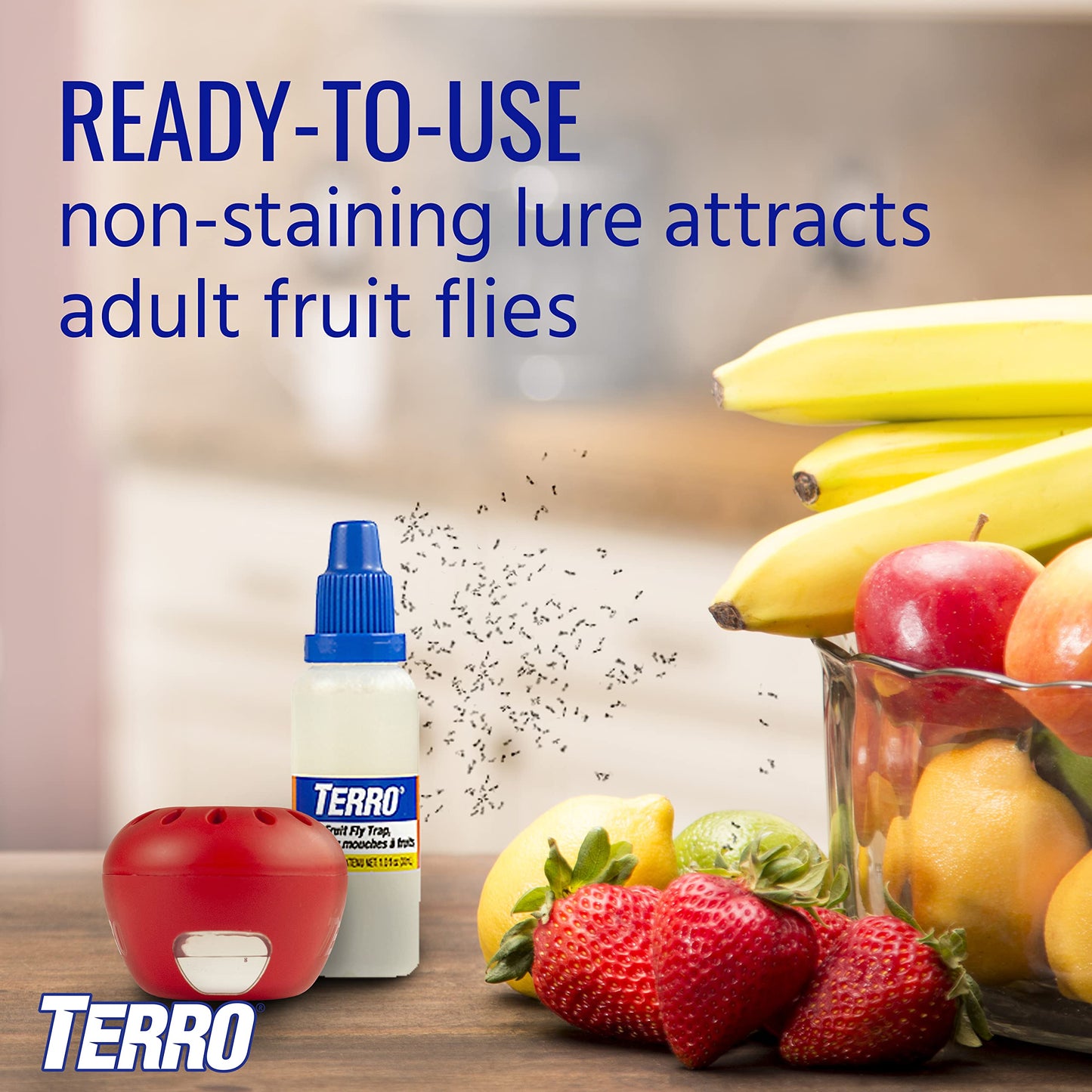 TERRO T2503-3 Ready-to-Use Indoor Fruit Fly Trap with Built in Window - 6 Traps + 270 Day Lure Supply