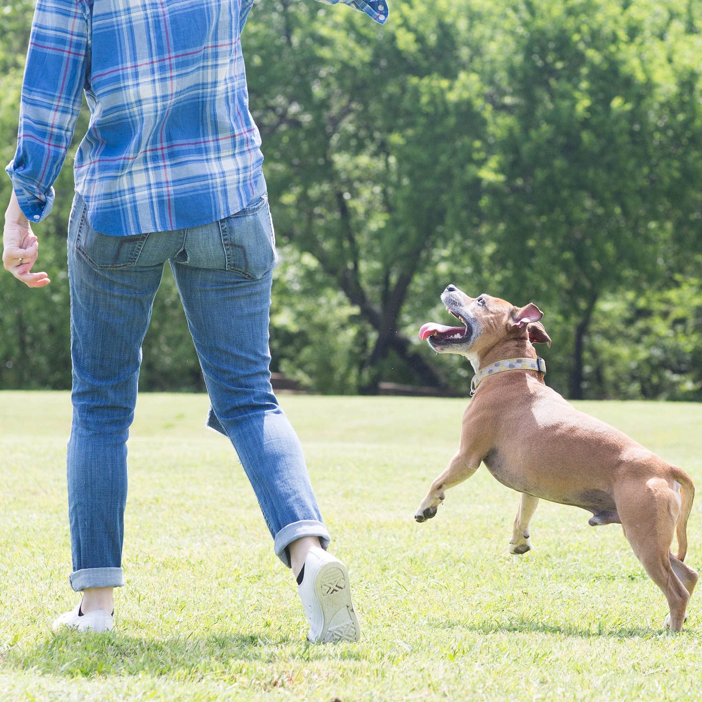 Chuckit! Ultra Squeaker Dog Ball, Fetch Toy, Extra Large - 3.5 inch, For 100lb and over, 1 Pack