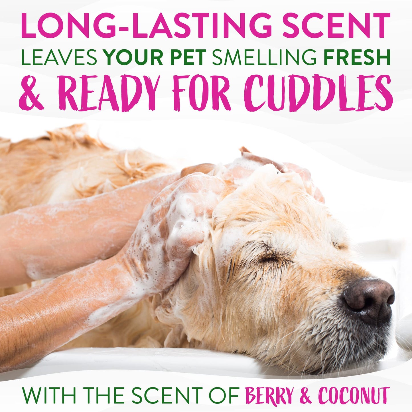 TropiClean Berry & Coconut Deep Cleansing Dog Shampoo | Deodorizing Dog Shampoo | Natural Pet Shampoo Derived from Natural Ingredients | Cat Friendly | Made in the USA | 20 oz.