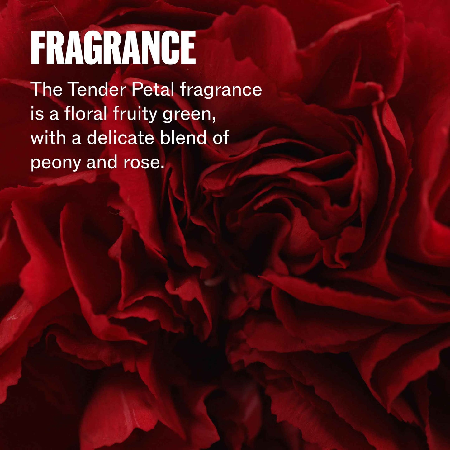 Wella Professionals ULTIMATE REPAIR 5-in-1 Protective Leave-In Treatment for Damaged Hair | Repairs, Smoothens Frizz, UV & Heat Protectant | For All Hair Types | 3.2 Fl Oz