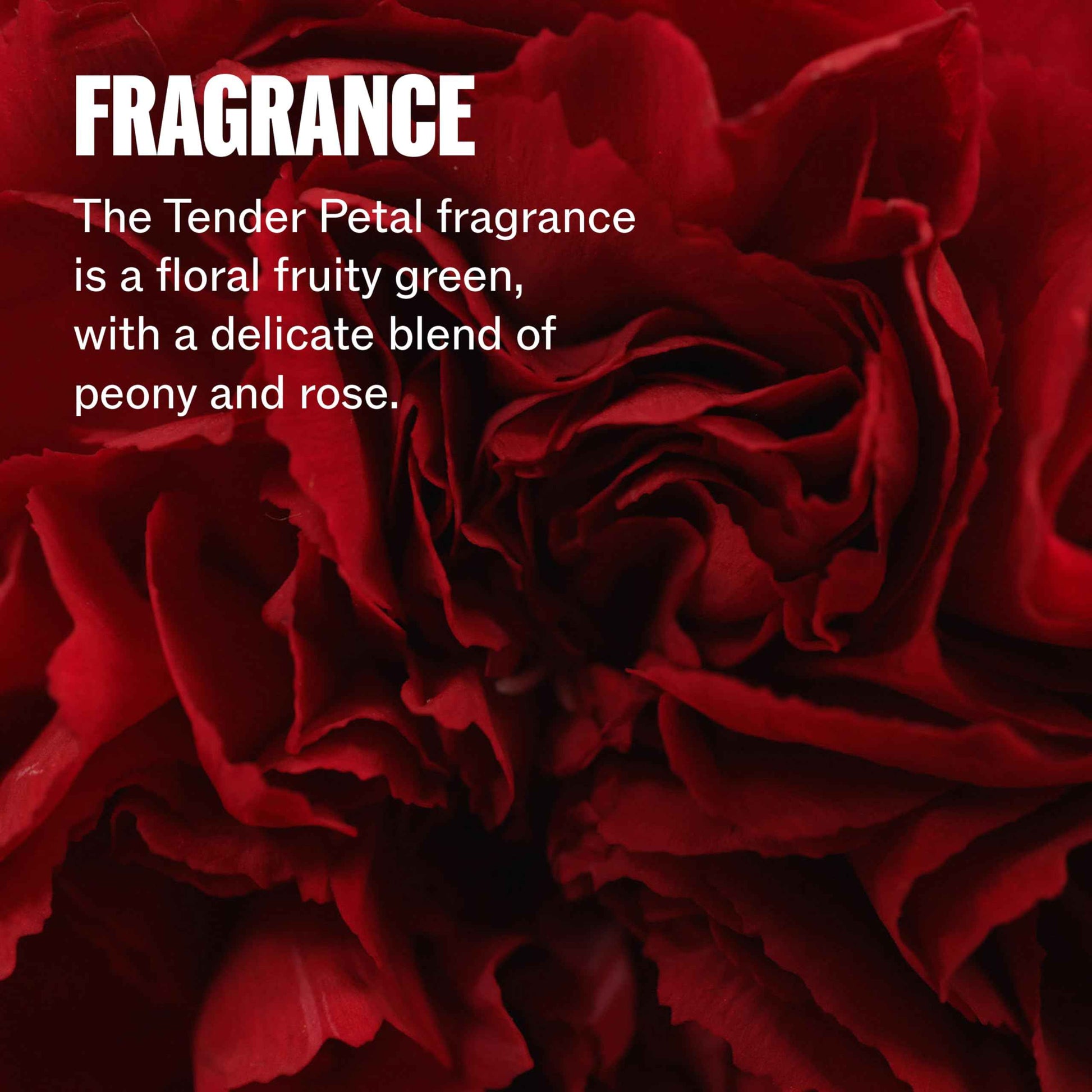 Wella Professionals ULTIMATE REPAIR 5-in-1 Protective Leave-In Treatment for Damaged Hair | Repairs, Smoothens Frizz, UV & Heat Protectant | For All Hair Types | 3.2 Fl Oz