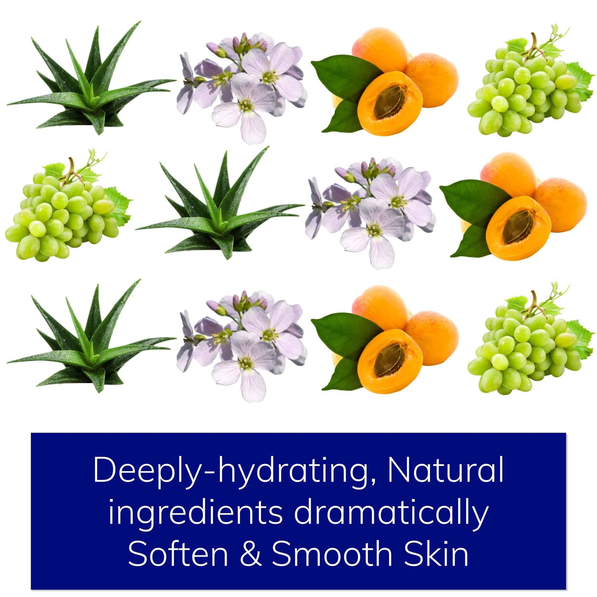 Natural Body Wash | Cleanse, Hydrate, Soften | Sulfate-Free Foaming Lather | Deep yet Gentle, Non-Drying Shower Gel | Handcrafted in Small Batches | All Skin Types incl. Sensitive Skin | Men & Women