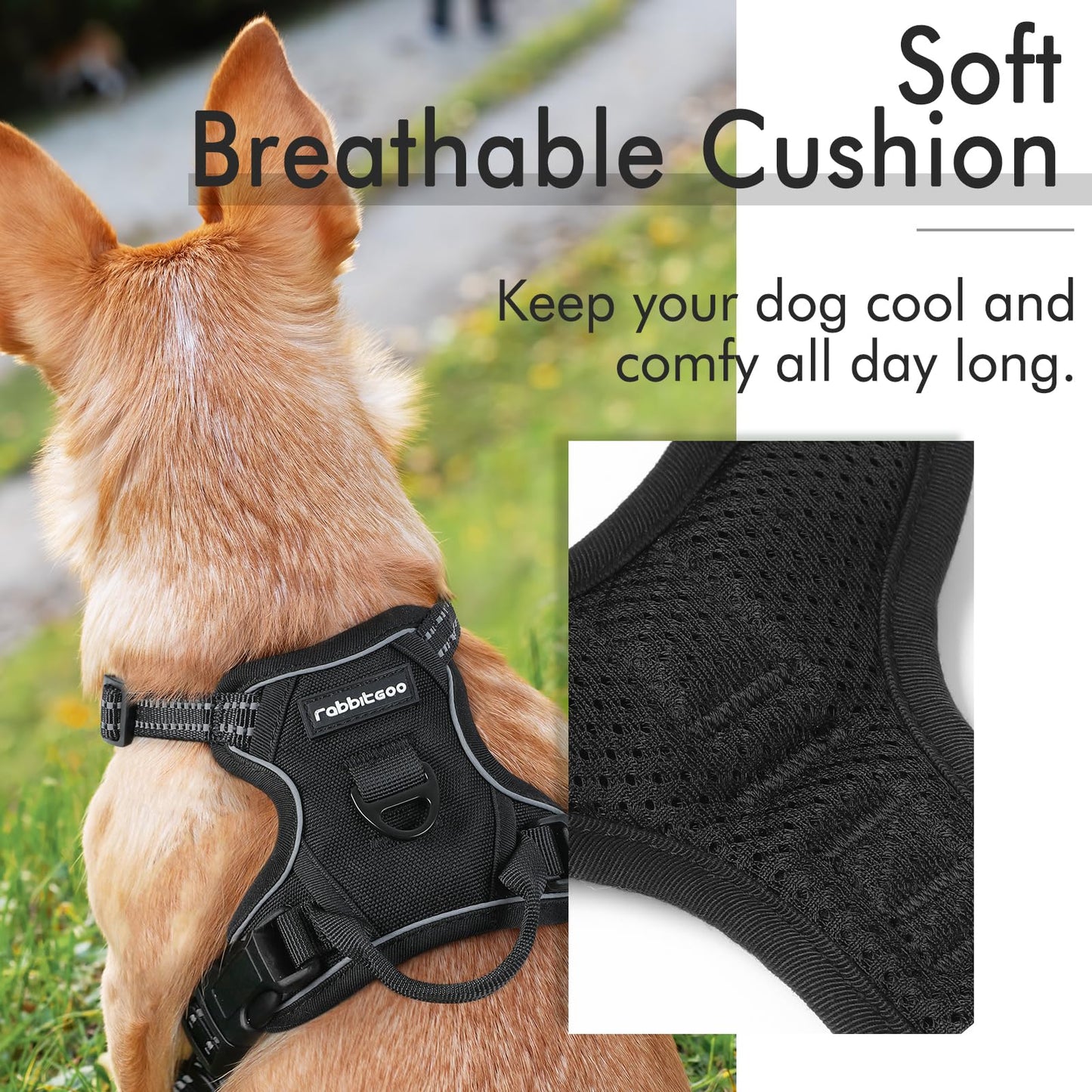 rabbitgoo Dog Harness, No-Pull Pet Harness with 2 Leash Clips, Adjustable Soft Padded Dog Vest, Reflective No-Choke Pet Oxford Vest with Easy Control Handle for Small Dogs, Black, X-Small