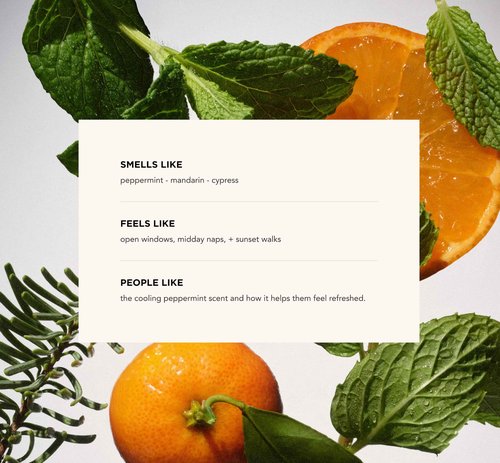 By Rosie Jane Chill Body Milk Skin Care - Milk Toner to Help Tone, Tighten and Hydrate Skin - Body Care Made with Peppermint, Mandarin & Cypress - Helps Promote Anti-Aging & Boost Radiance (250ml)