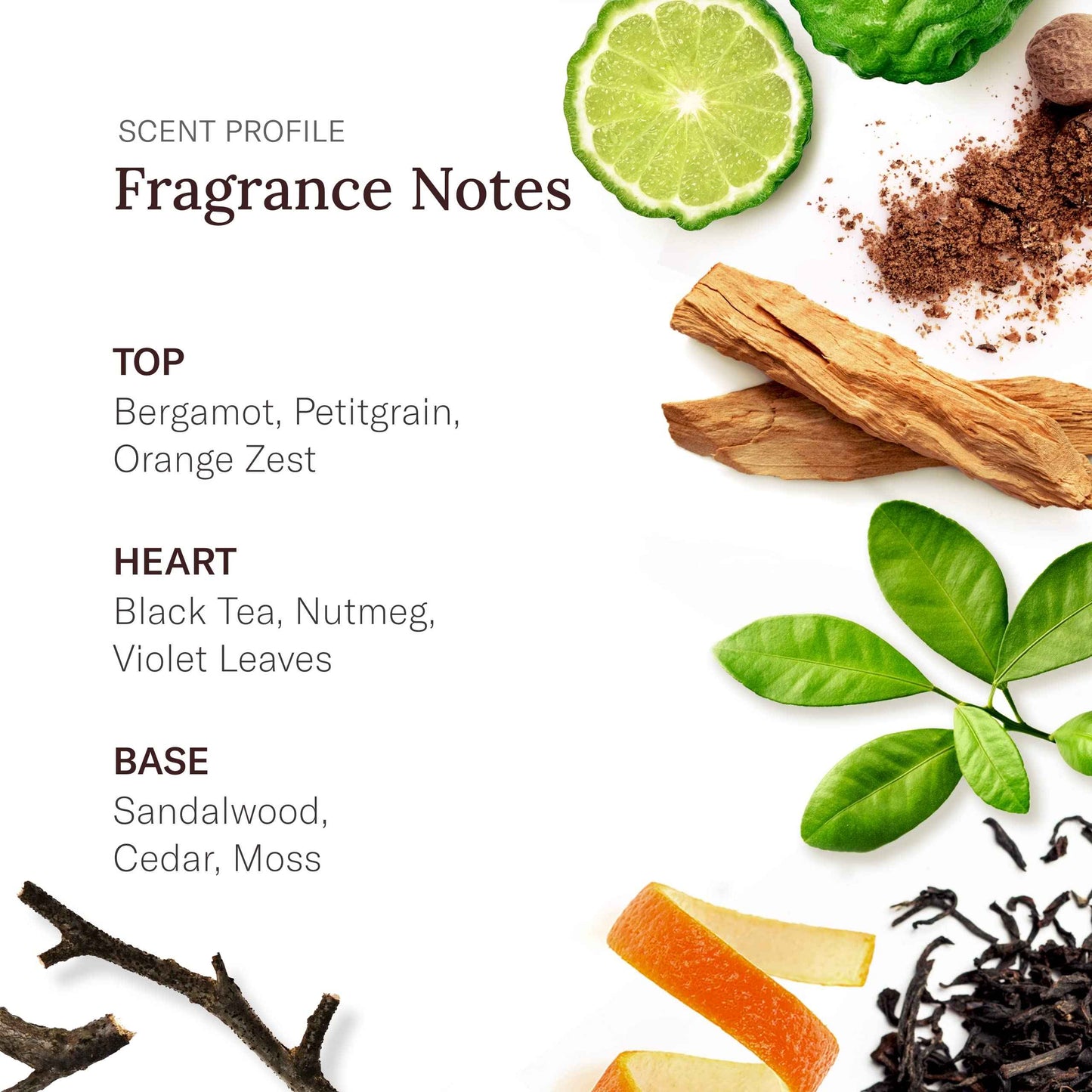 STETSON Personal Care All Day Body Spray by Scent Beauty - Body Spray for Men - Perfect for Men's Grooming Kit - 5 oz - 3 Pack - Oasis