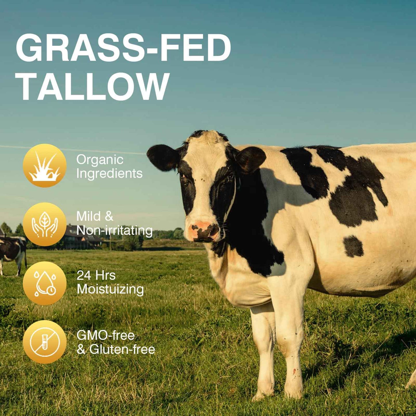 Beef Tallow for Skin, Tallow and Honey Cream,Tallow Face Moisturizer, Natural Grass-Fed Beef Tallow Balm with Raw Honey Moisturizing Cream for Body Lotion Skin Care 2 Packs