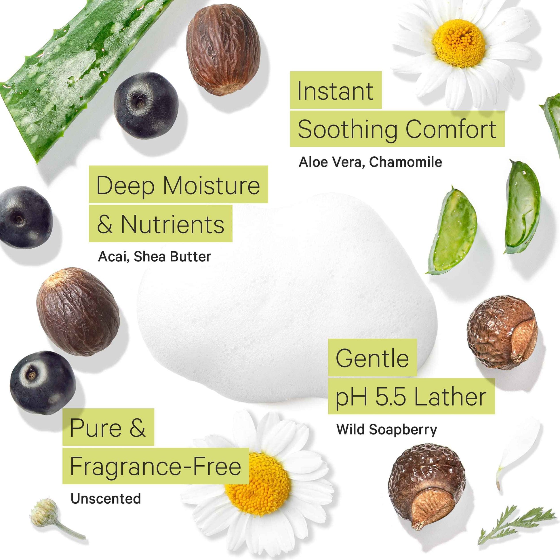 Tree to Tub Unscented Shea Butter Body Lotion for Dry Skin & Sensitive Skin Face Wash for Dry Skin - Fragrance Free Sensitive Skin Lotion & Gentle Hydrating Face Cleanser for Women & Men