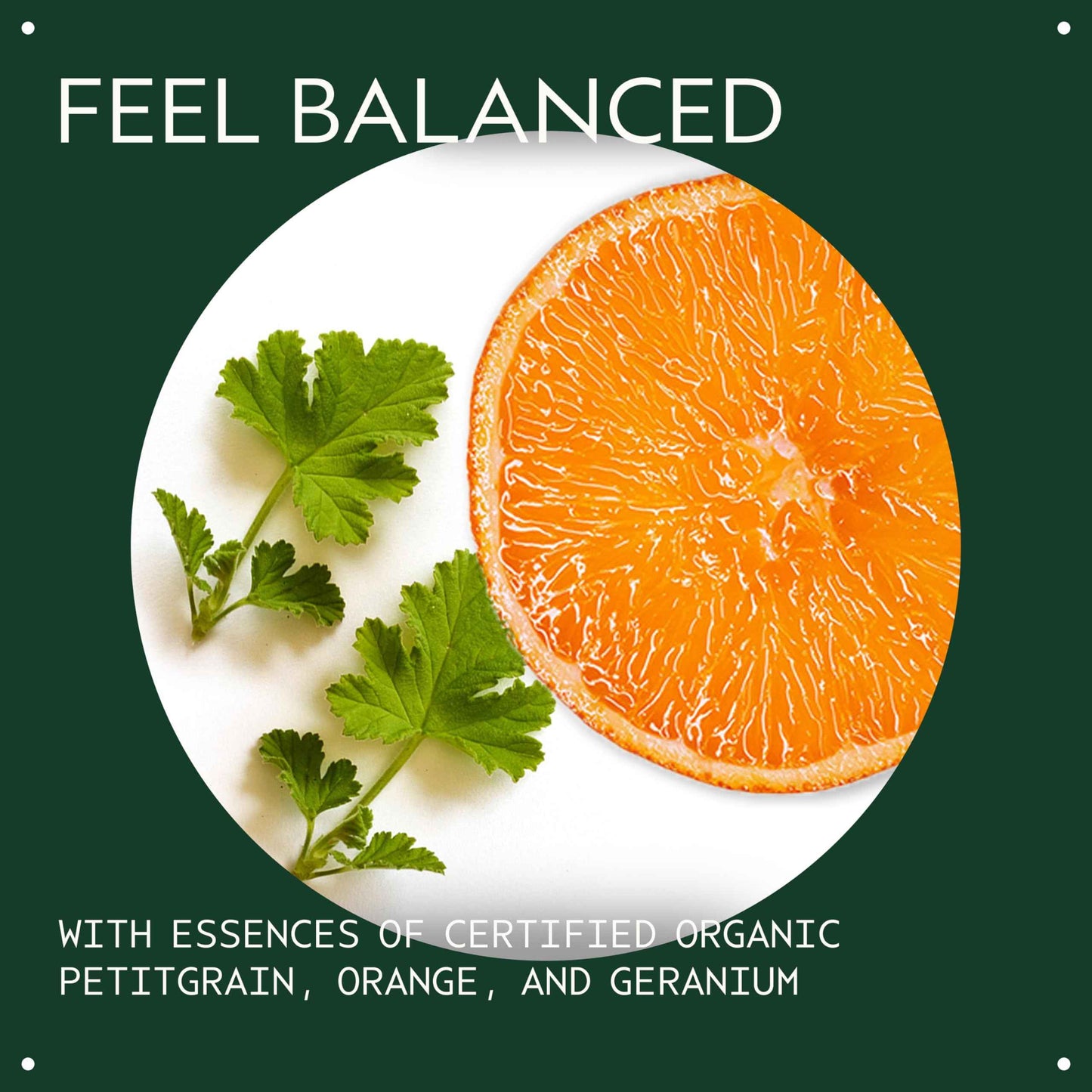 Aveda Chakra 6 Balancing Pure-Fume Mist: Intuition | Body & Room Spray | Balances Intuition Chakra | With Certified Organic Petitgrain, Orange, Geranium, 3.4 Fl Oz