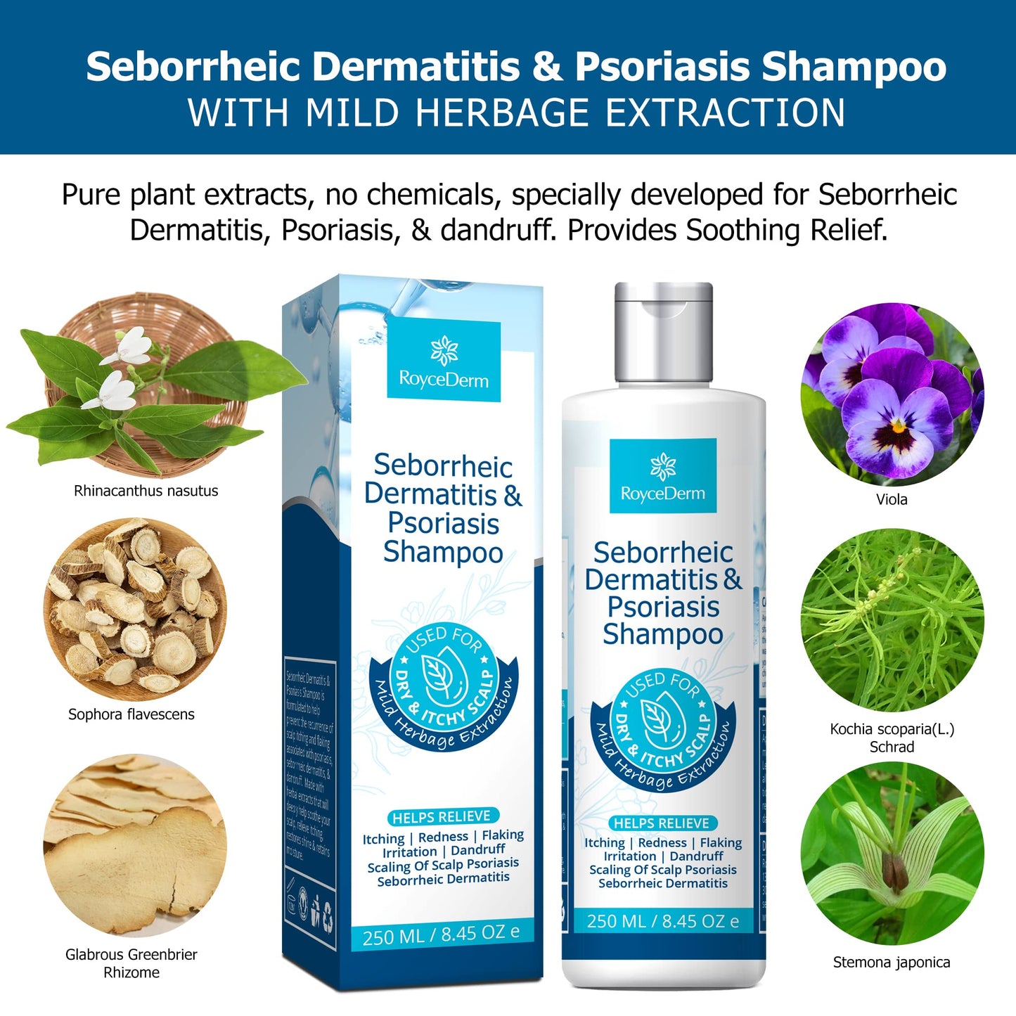 Roycederm Psoriasis Shampoo, Seborrheic Dermatitis Shampoo, Folliculitis Shampoo, Dandruff Shampoo, Scalp Psoriasis & Seborrheic Dermatitis Treatment, Dry Itchy Scalp Treatment