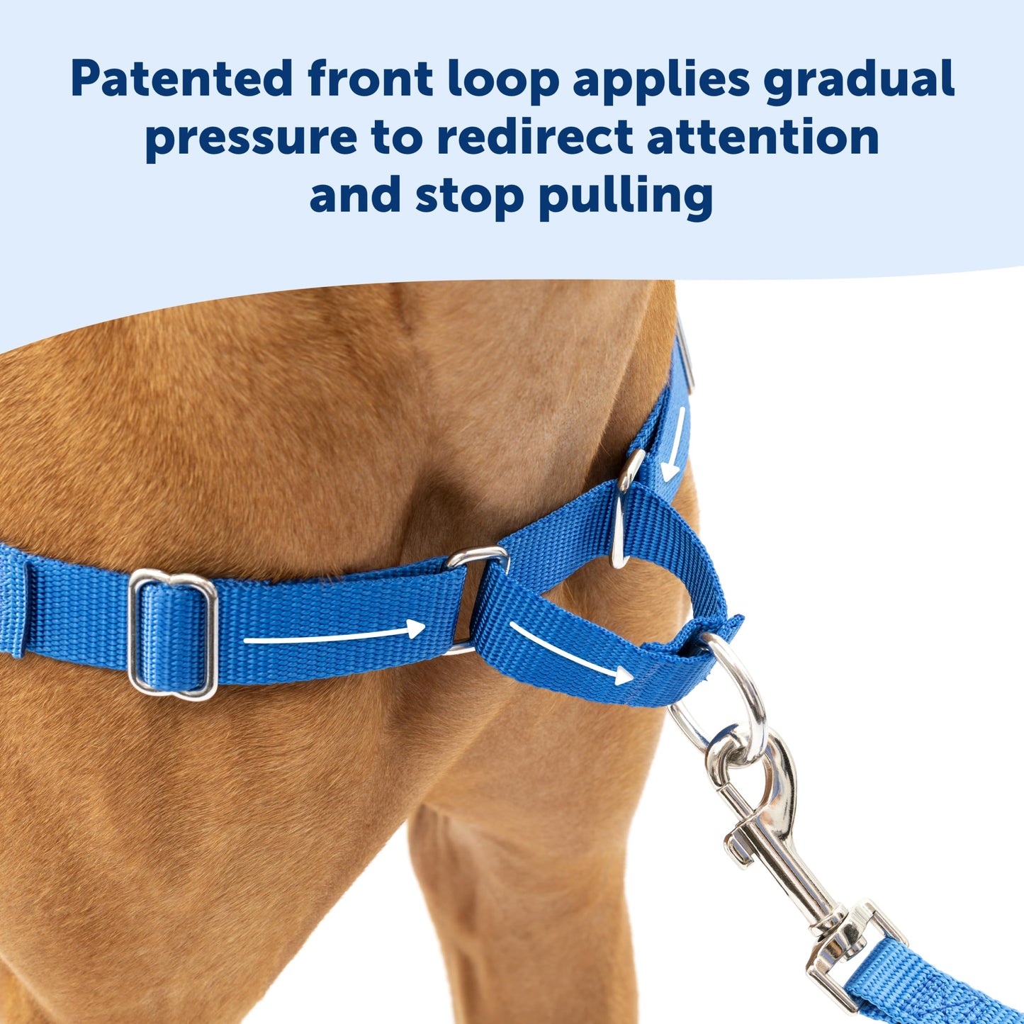 PetSafe Easy Walk No-Pull Dog Harness - The Ultimate Harness to Help Stop Pulling - Take Control & Teach Better Leash Manners - Helps Prevent Pets Pulling on Walks, Small, Apple Green/Gray