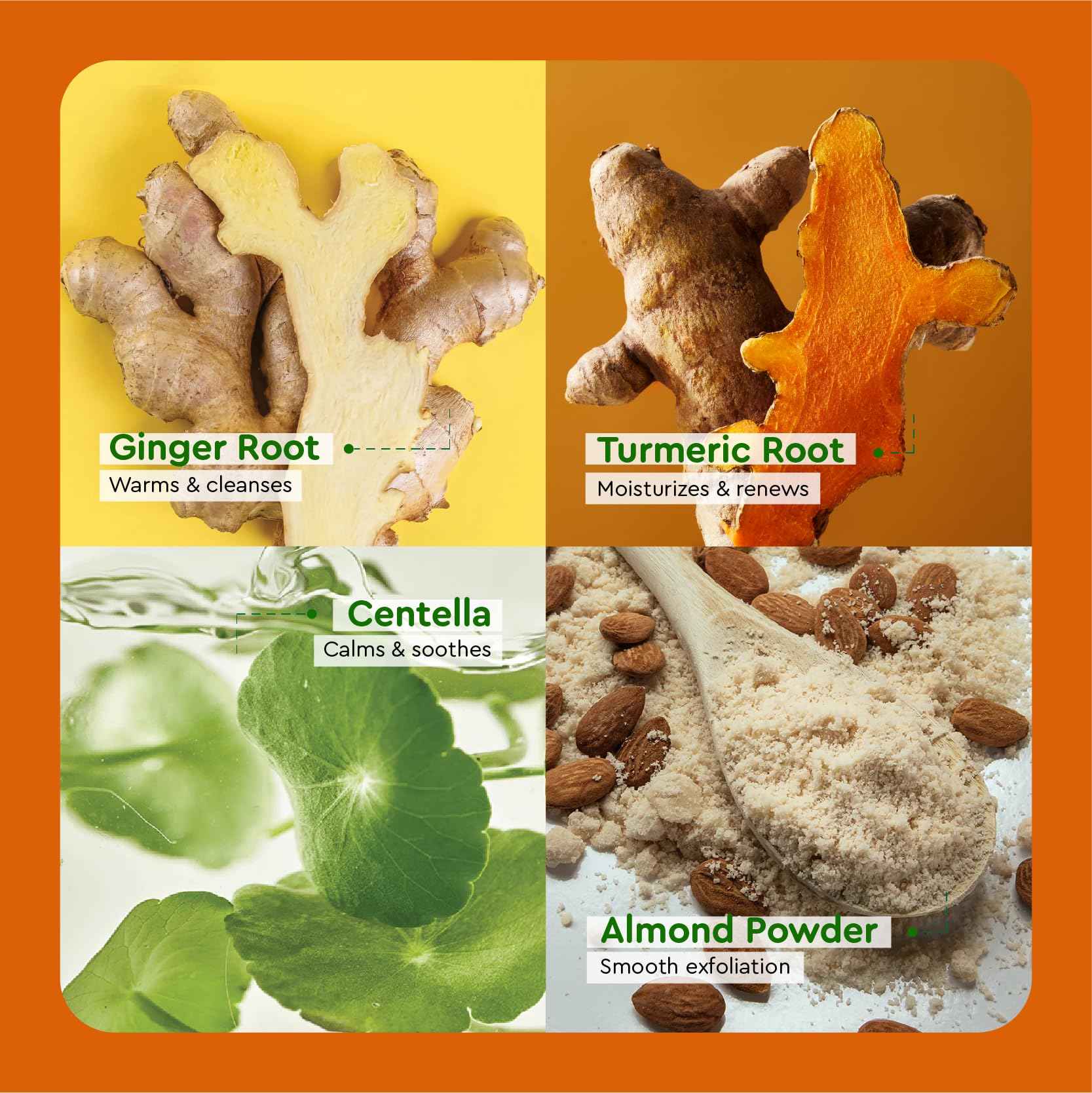 Vietnam's Touch | COCAY HOALA Ginger Turmeric Exfoliating Body Wash – Gentle Body Wash Sensitive Skin – Moisturizing & Nourishing Daily Shower Gel – Paraben & Silicone Free (17.64 oz)