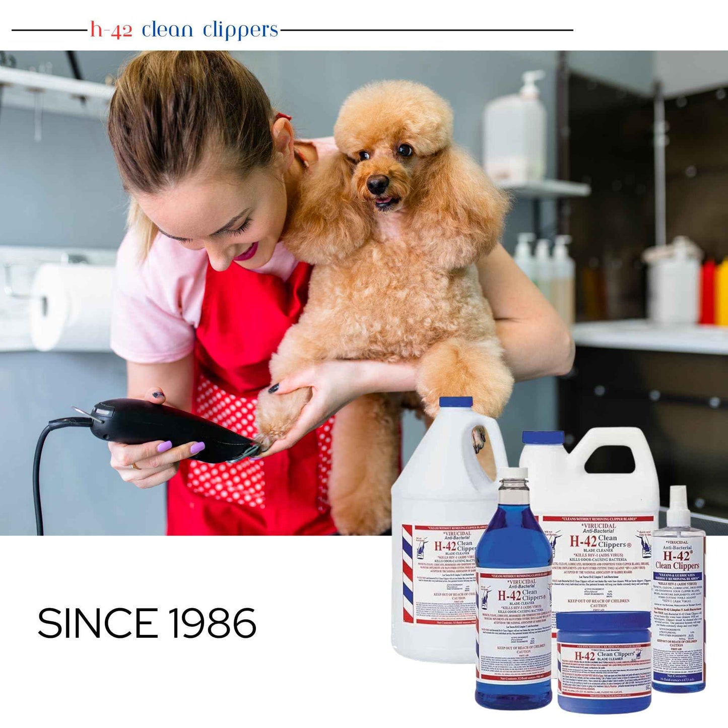 Skin Revolution H-42 Clean Clippers Blade Cleaner with Brush - 8oz Bottle (2 Pack)