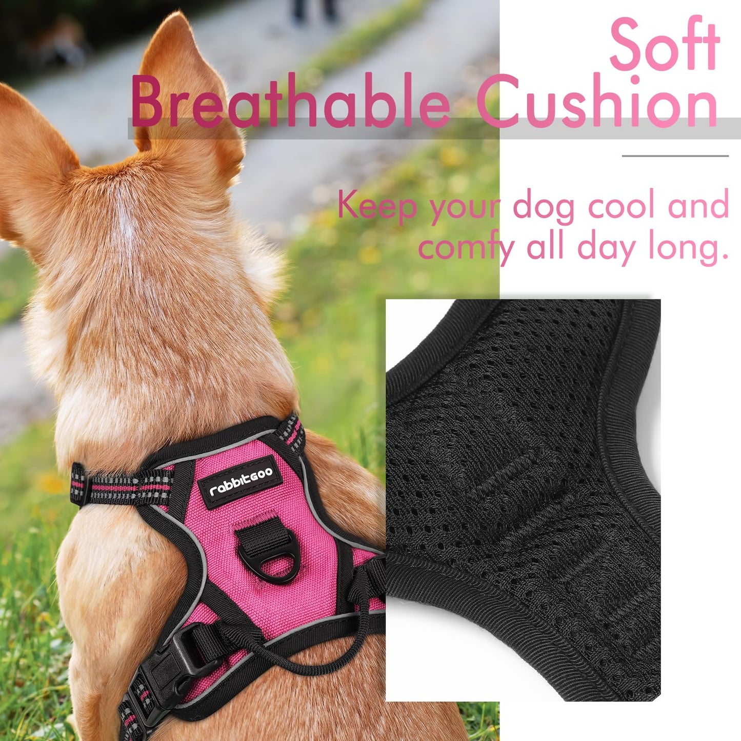 rabbitgoo Dog Harness, No-Pull Pet Harness with 2 Leash Clips, Adjustable Soft Padded Dog Vest, Reflective No-Choke Pet Oxford Vest with Easy Control Handle for Small Dogs, Hot Pink, XS