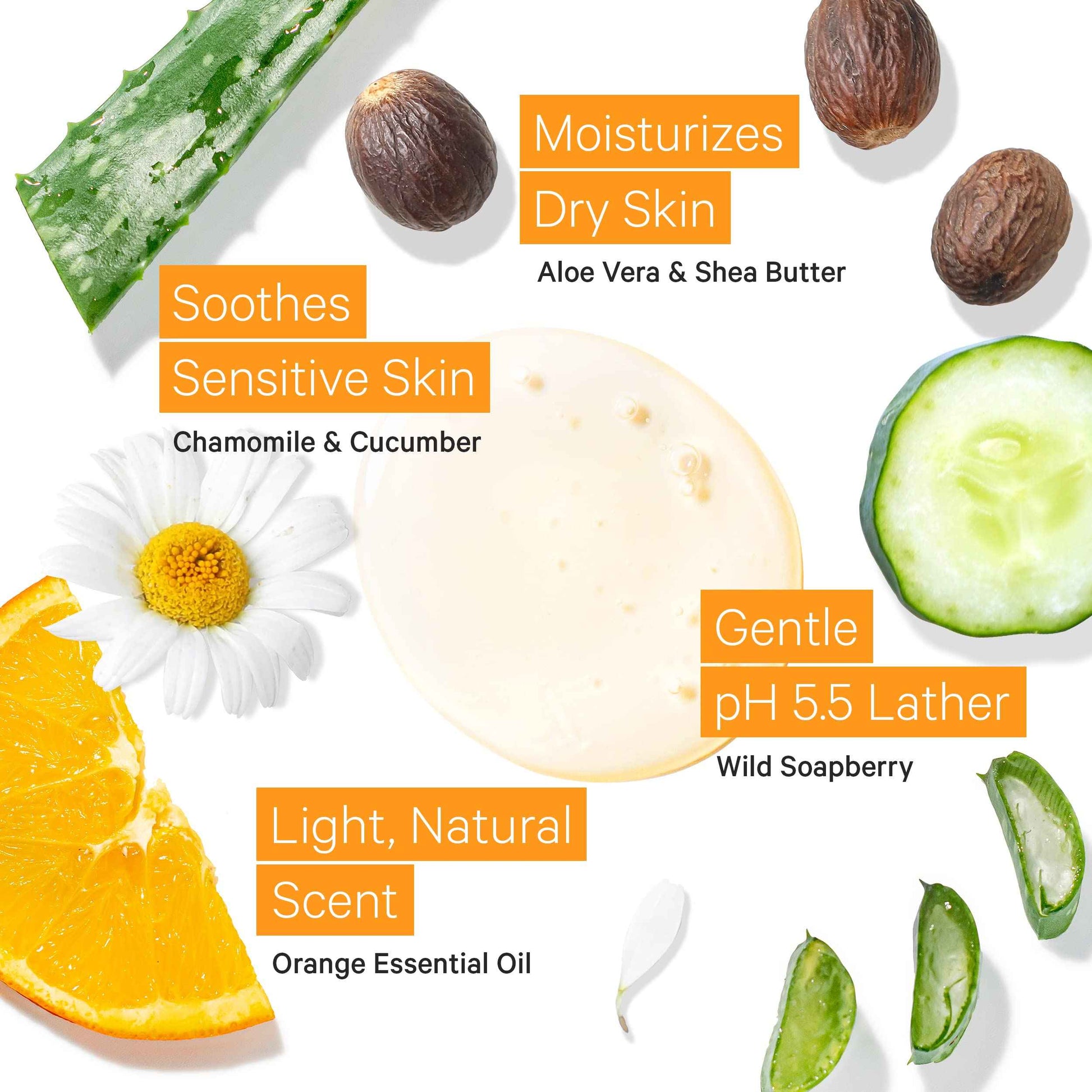 Tree to Tub Citrus & Peppermint Body Wash for Dry Skin Sensitive Skin - pH Balanced Moisturizing Body Wash, Hydrating Sulfate Free Vegan Body Soap for Women & Men w/Organic Shea Butter