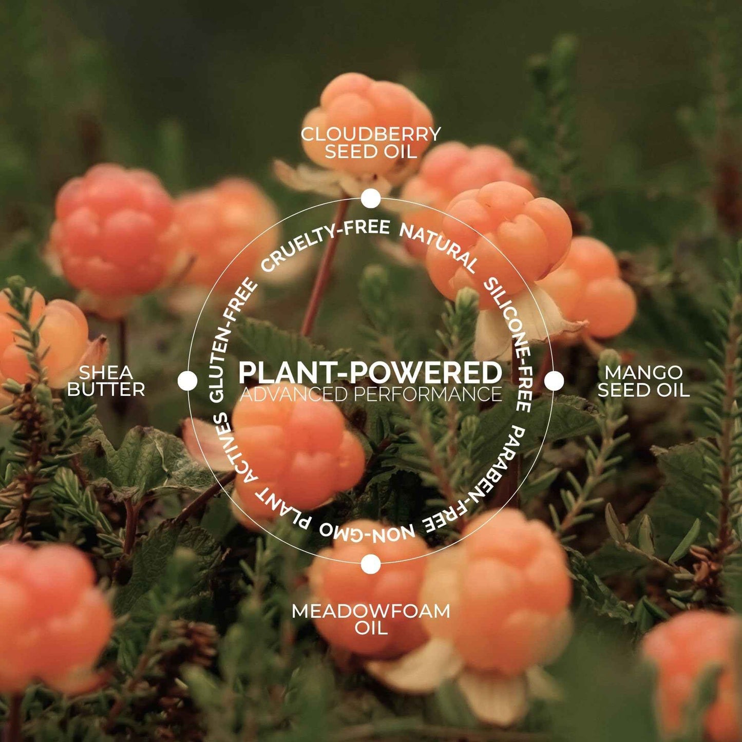 FITGLOW Beauty Vegan Lip Liner Pencil Trio | Hydrating Plumping Lip Liner Kit with Blending Brush | Smudge-Proof Lip Perfector | Define & Sculpt | Natural Lip Enhancer | 3pk - Muted Mauve, Buff, Root