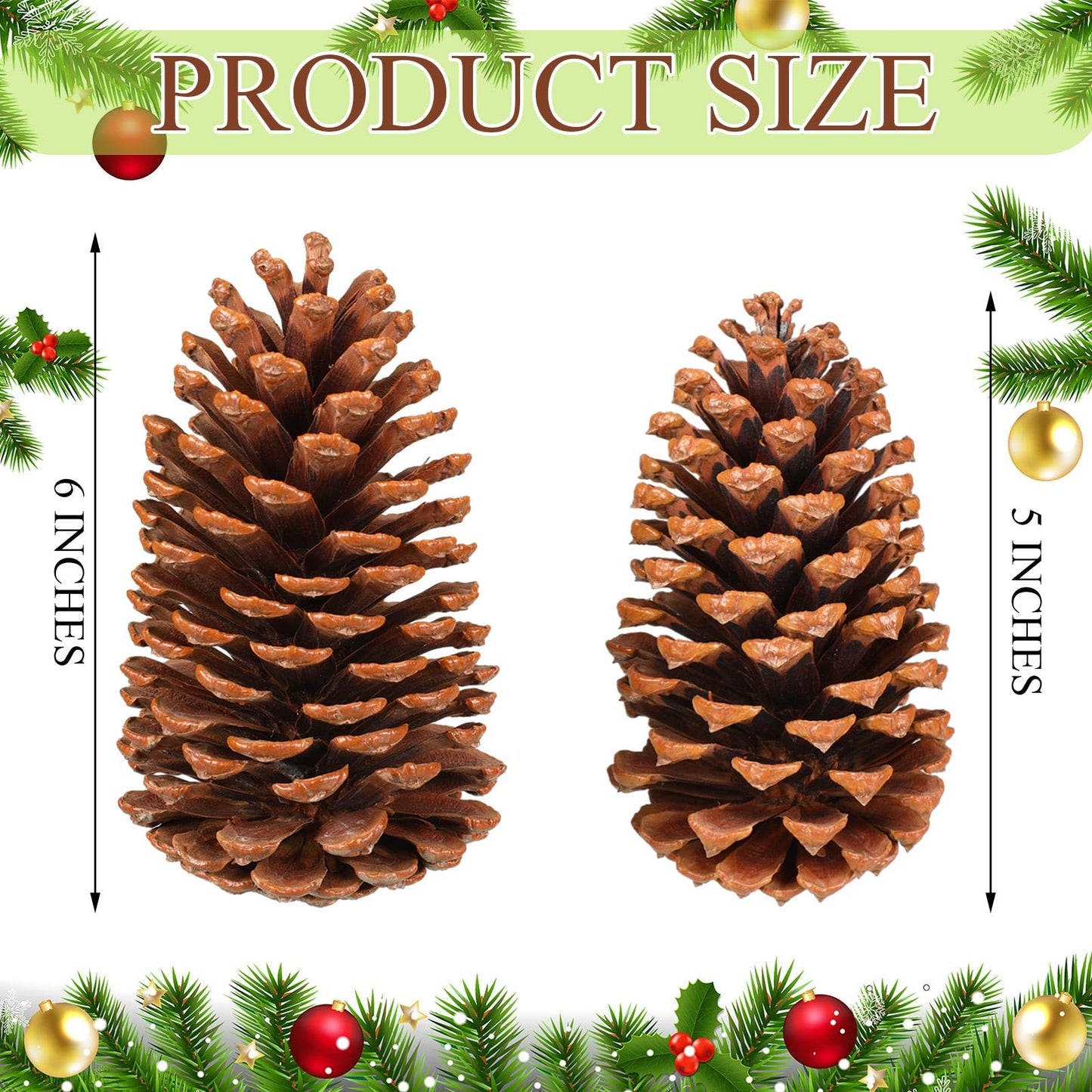 Huwena 12 Pcs PineCones Large Natural Unscented Pine Cones Bulk Rustic Christmas Tree Ornaments Decorative No Chemicals for Crafts DIY Wreath Home Wedding Decoration (5-6 Inches)