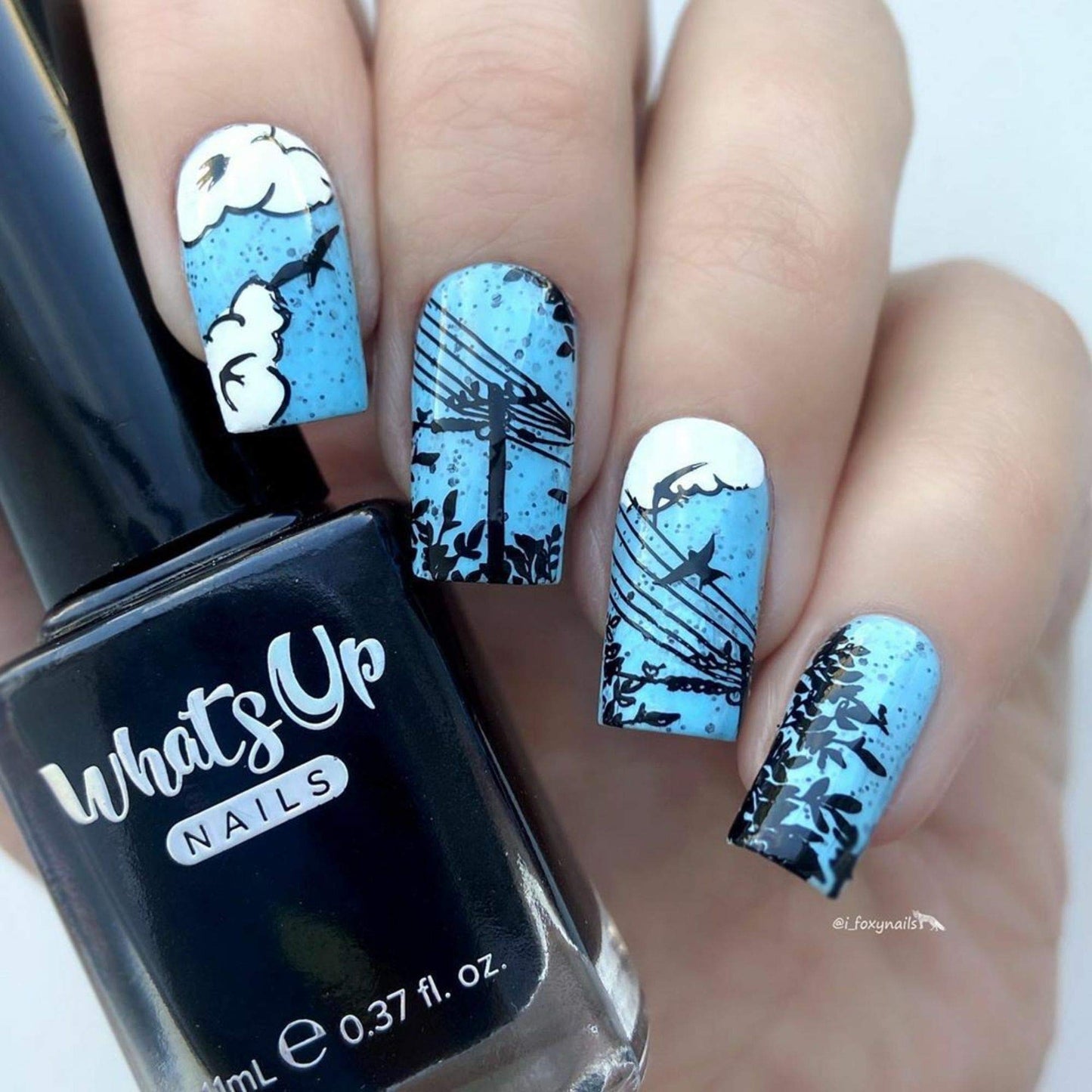 Whats Up Nails - B061 Summer in the Countryside Stamping Plate for Nail Art Design