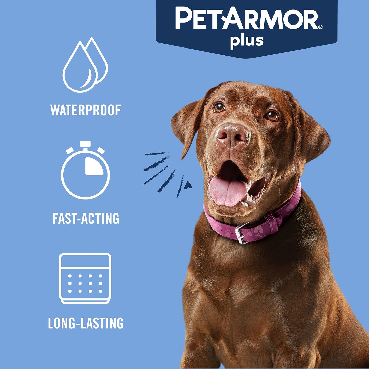 PetArmor Plus Flea and Tick Prevention for Dogs, Dog Flea and Tick Treatment, 1 Dose, Waterproof Topical, Fast Acting, Large Dogs (45-88 lbs)