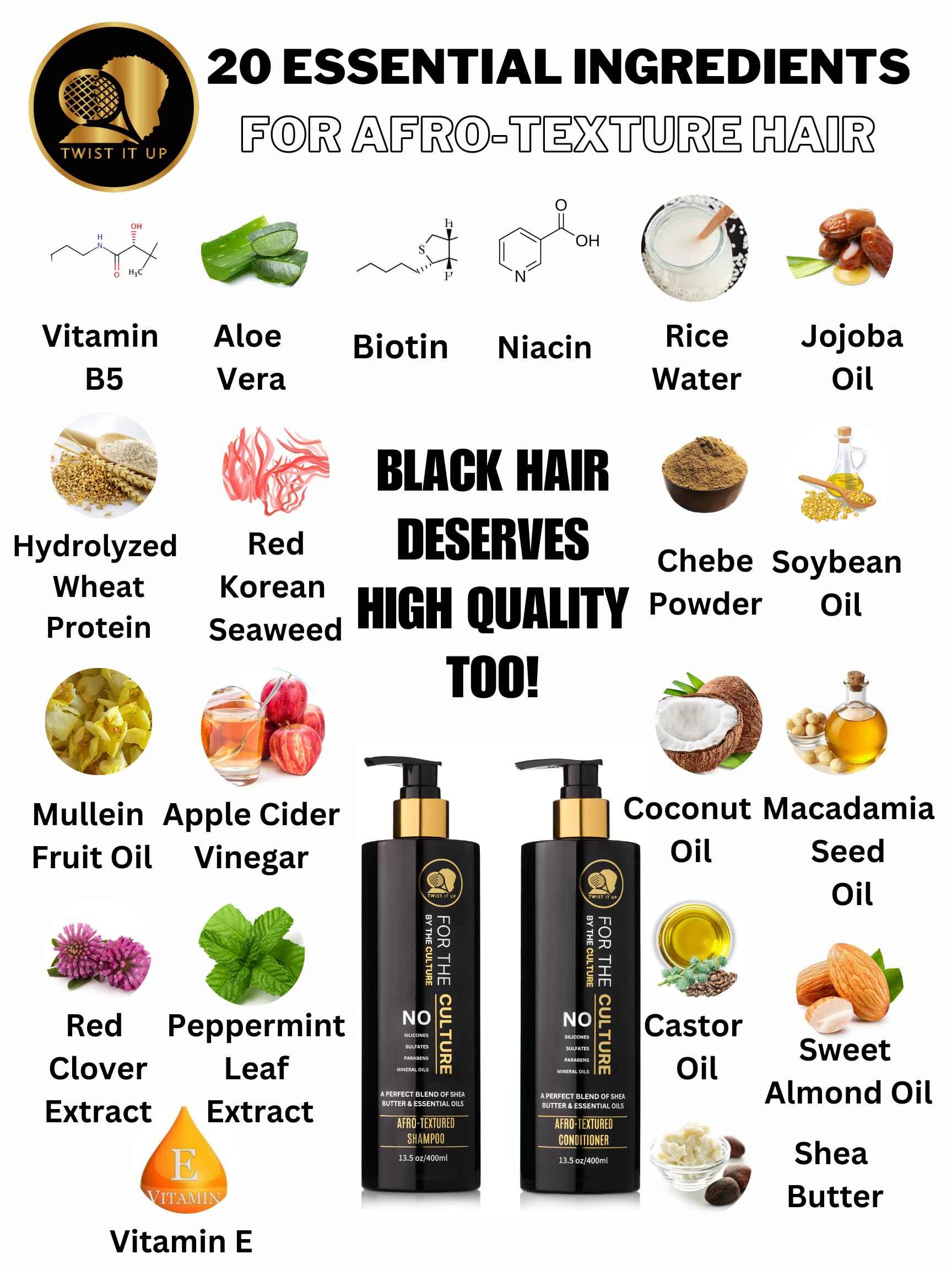 Twist It Up New Gold Standard Shampoo & Conditioner Set, Over 20 Natural Ingredients, Sulfate & Paraben-Free, Silicone-Free, Moisturizing, Hydrating, for Afro-Textured Hair