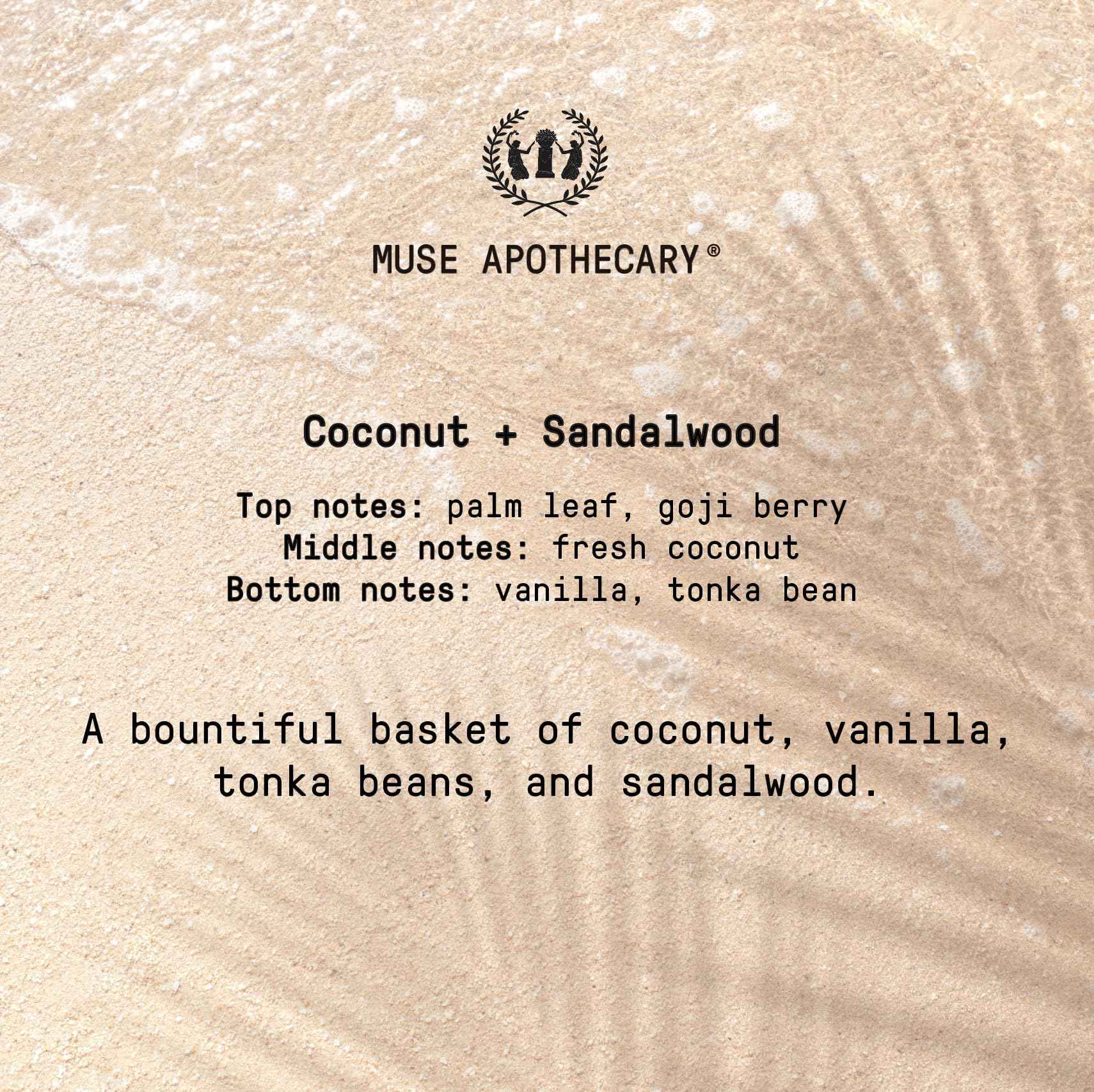 Muse Apothecary Hand Ritual - Aromatic and Nourishing Hand Soap, Infused with Natural Aromatherapy Essential Oils - USDA Certified Biobased - 16 oz, Coconut + Sandalwood, 3 Pack