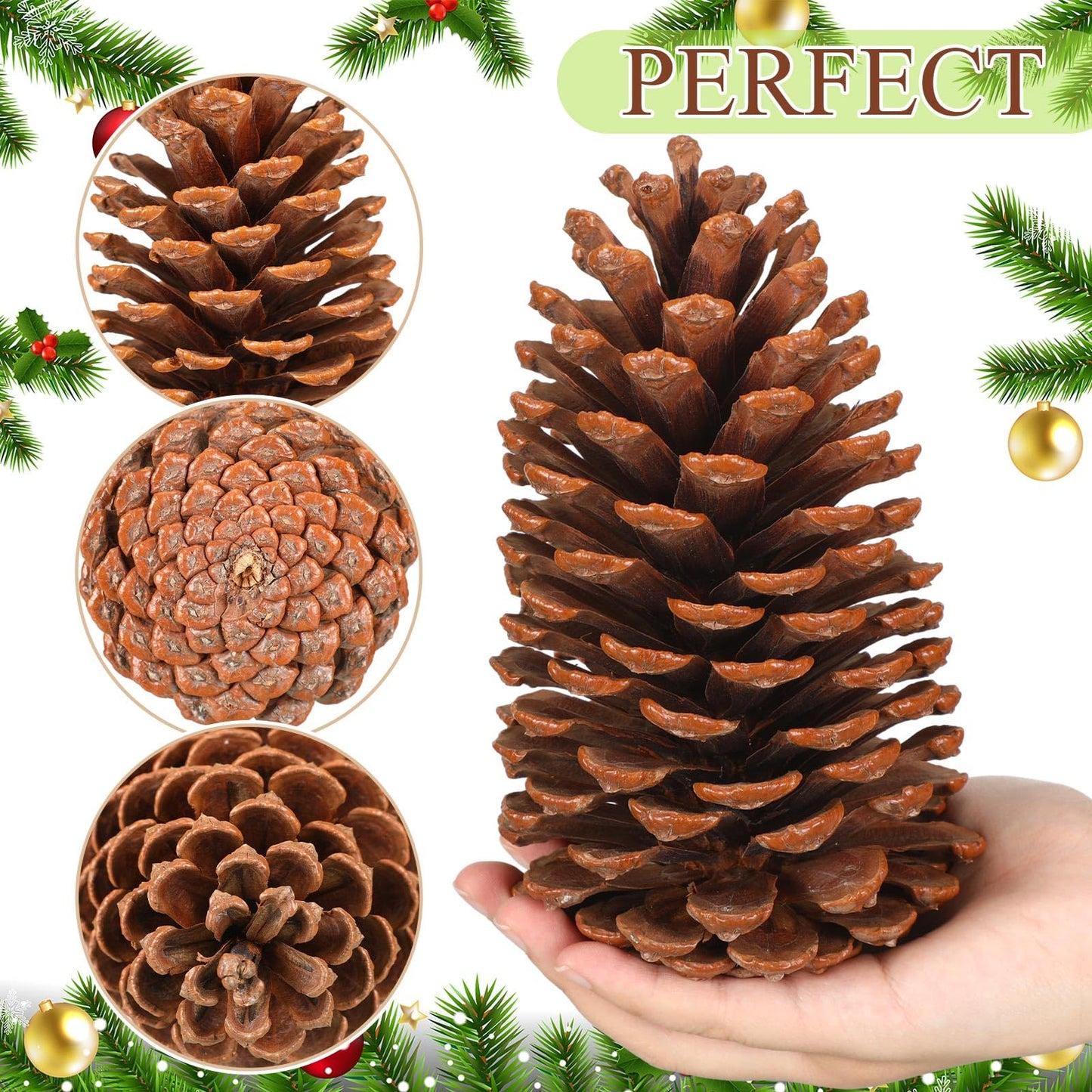 Huwena 12 Pcs PineCones Large Natural Unscented Pine Cones Bulk Rustic Christmas Tree Ornaments Decorative No Chemicals for Crafts DIY Wreath Home Wedding Decoration (5-6 Inches)