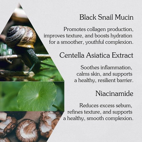 MIZON Black Snail All In One Cream, Premium, Snail Repair Cream, Intensive Care, Korean Skin Care, Facial Moisturizing, Snail Mucin Extract, Wrinkle Care, Firming (75ml / 2.54 fl oz)